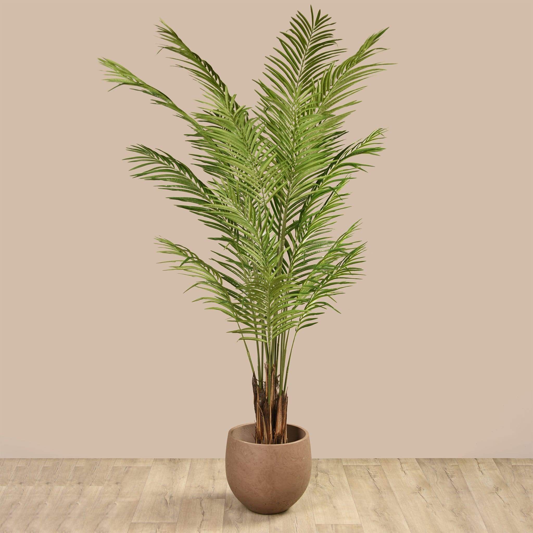صورة المنتج 3