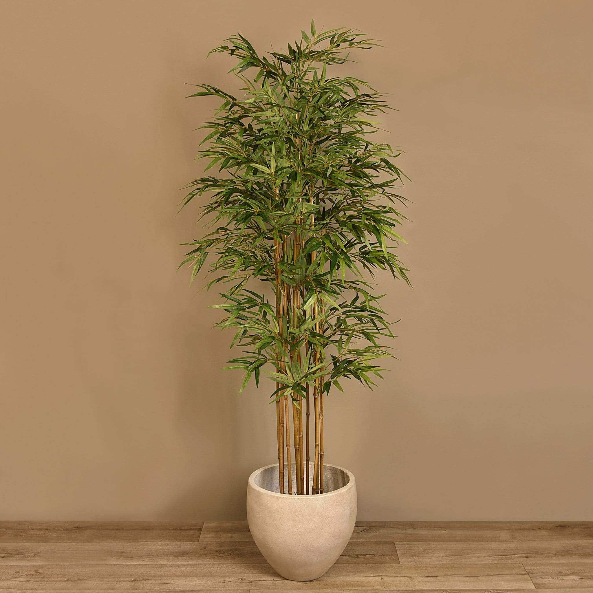صورة مصغرة 1