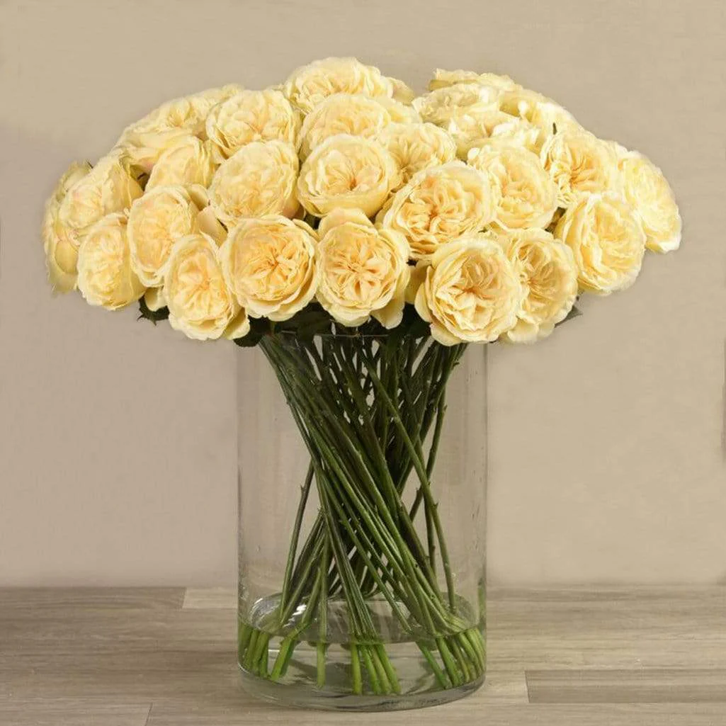 صورة المنتج 3