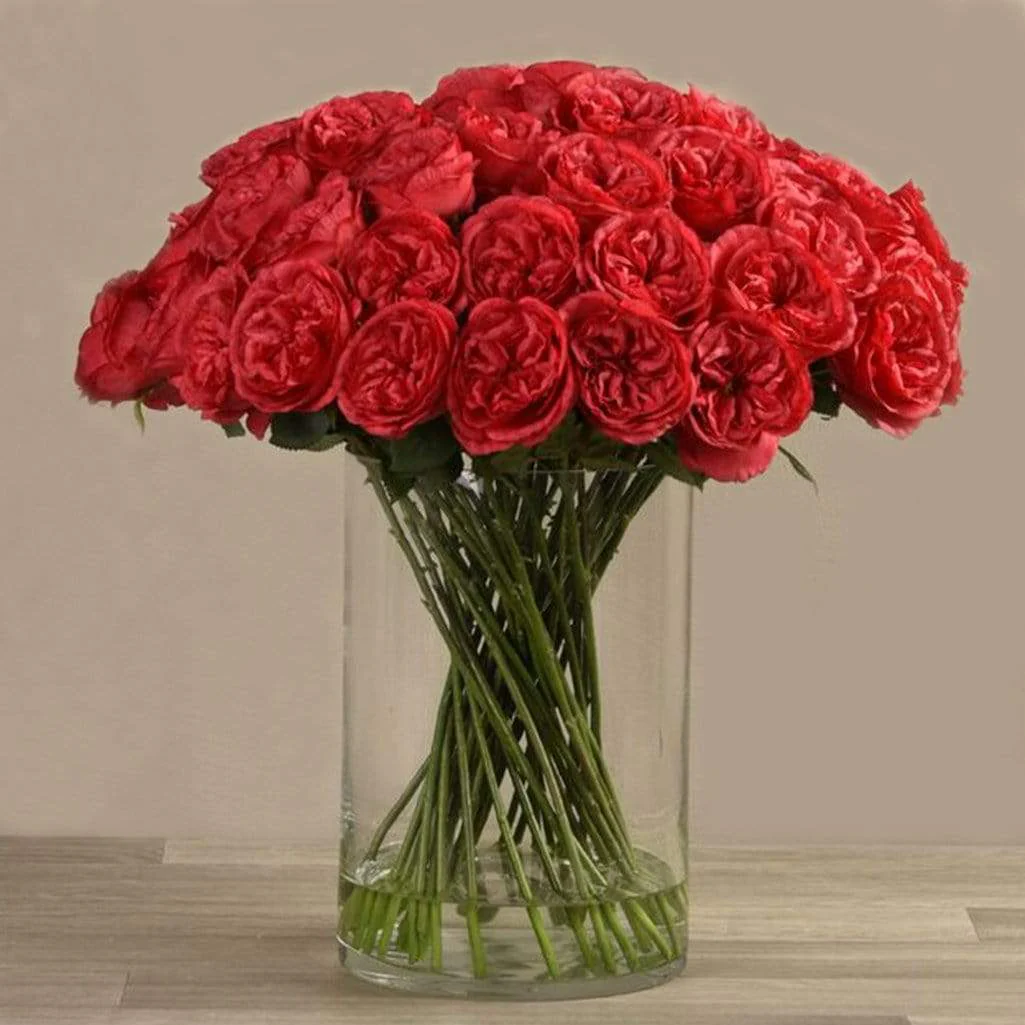 صورة المنتج 4