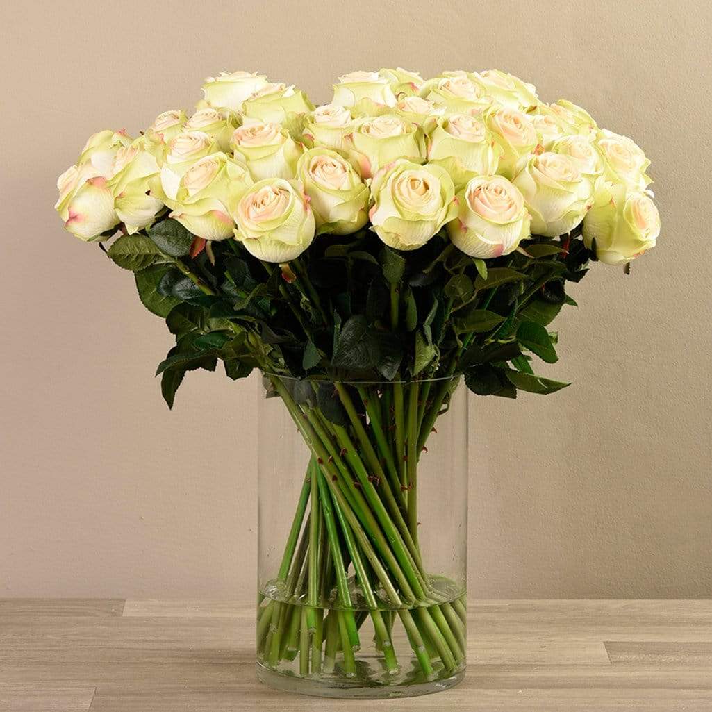 صورة المنتج 7