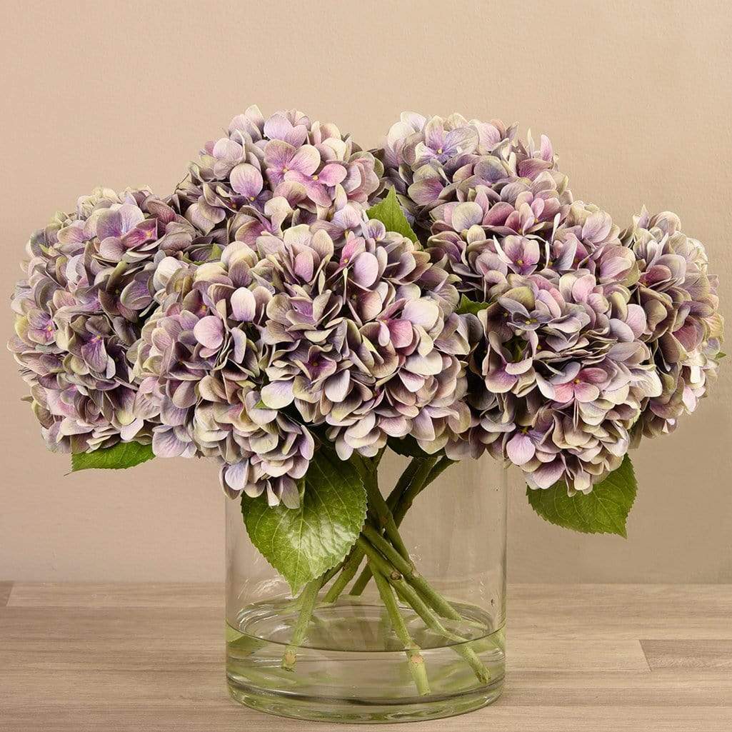 صورة المنتج 3