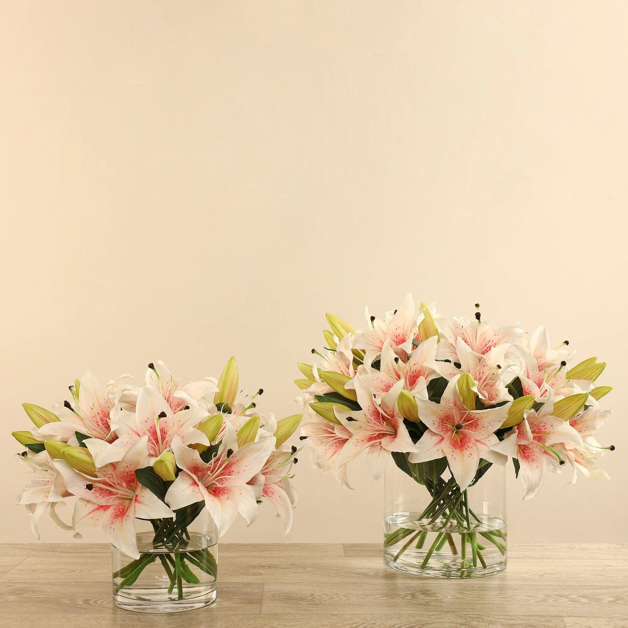 صورة المنتج 6