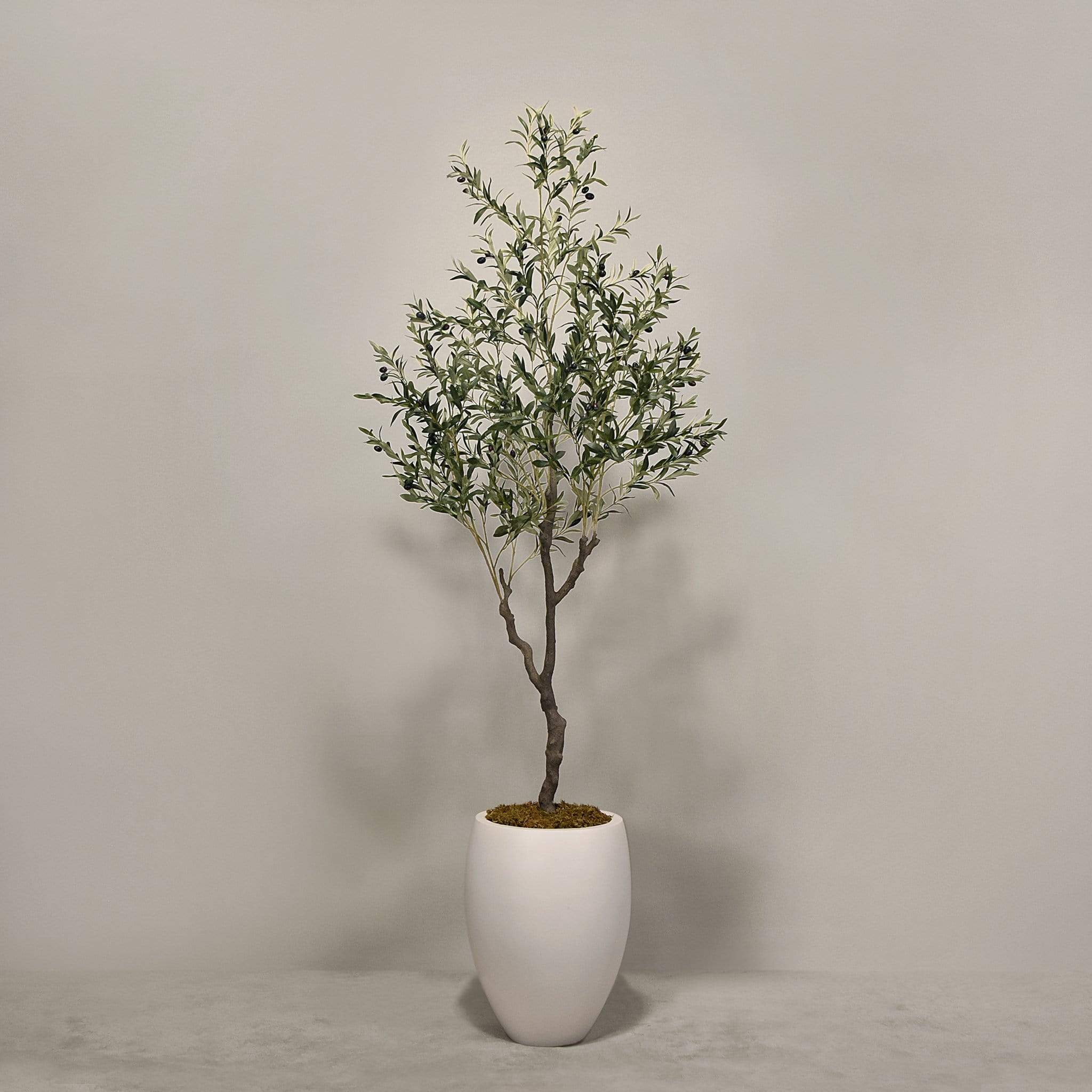 صورة المنتج 3