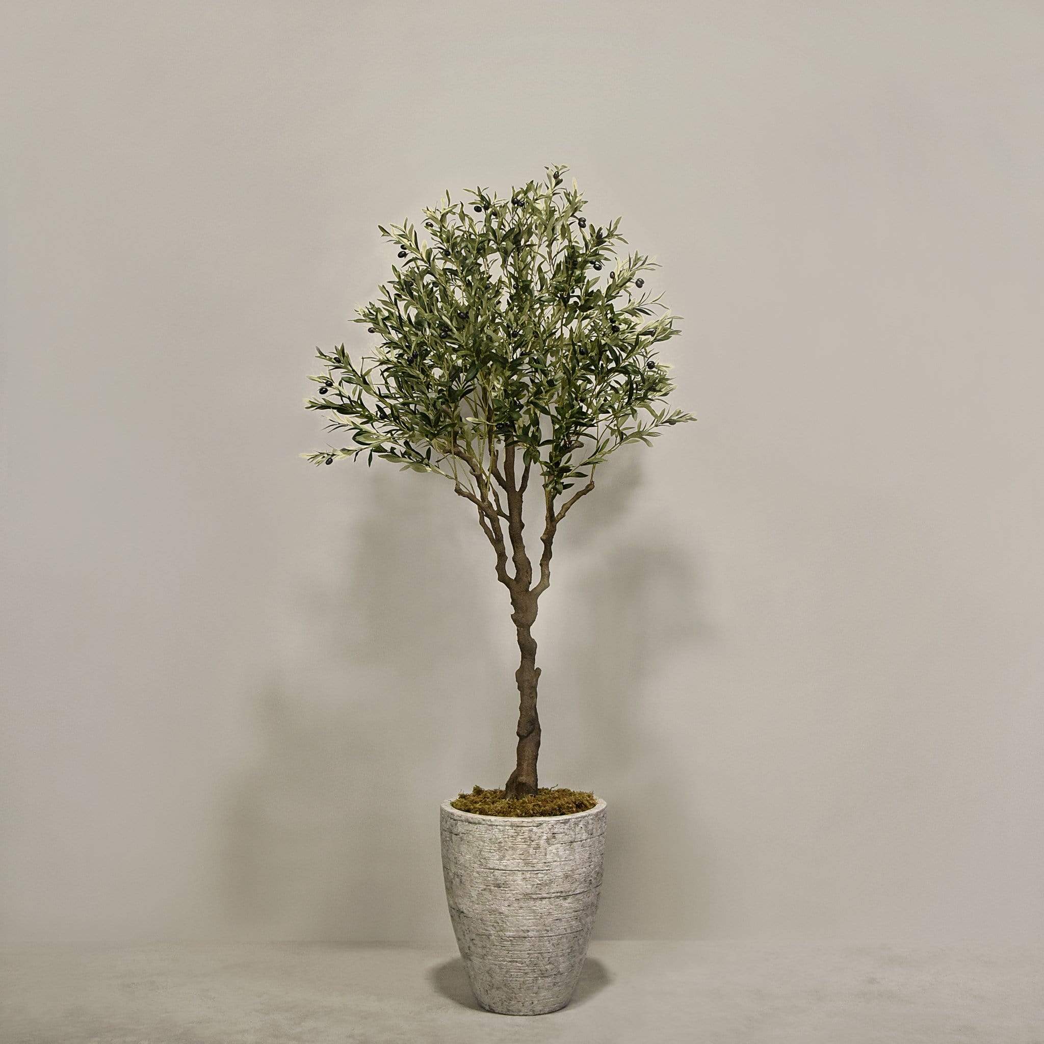 صورة المنتج 2