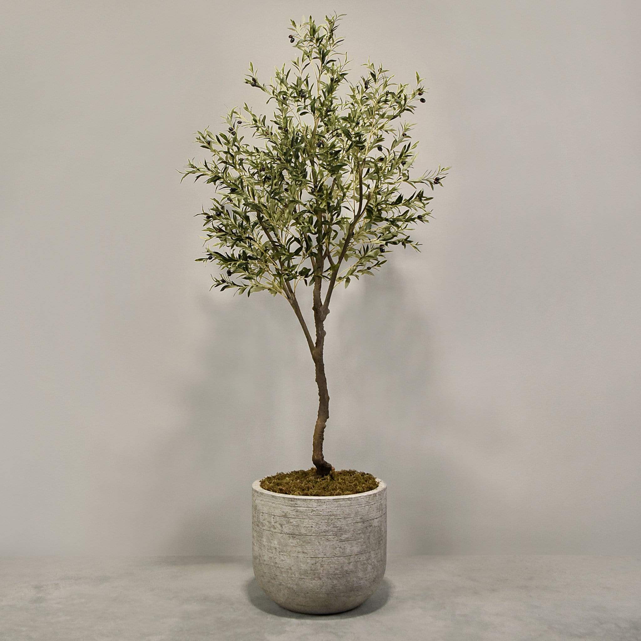 صورة المنتج 4