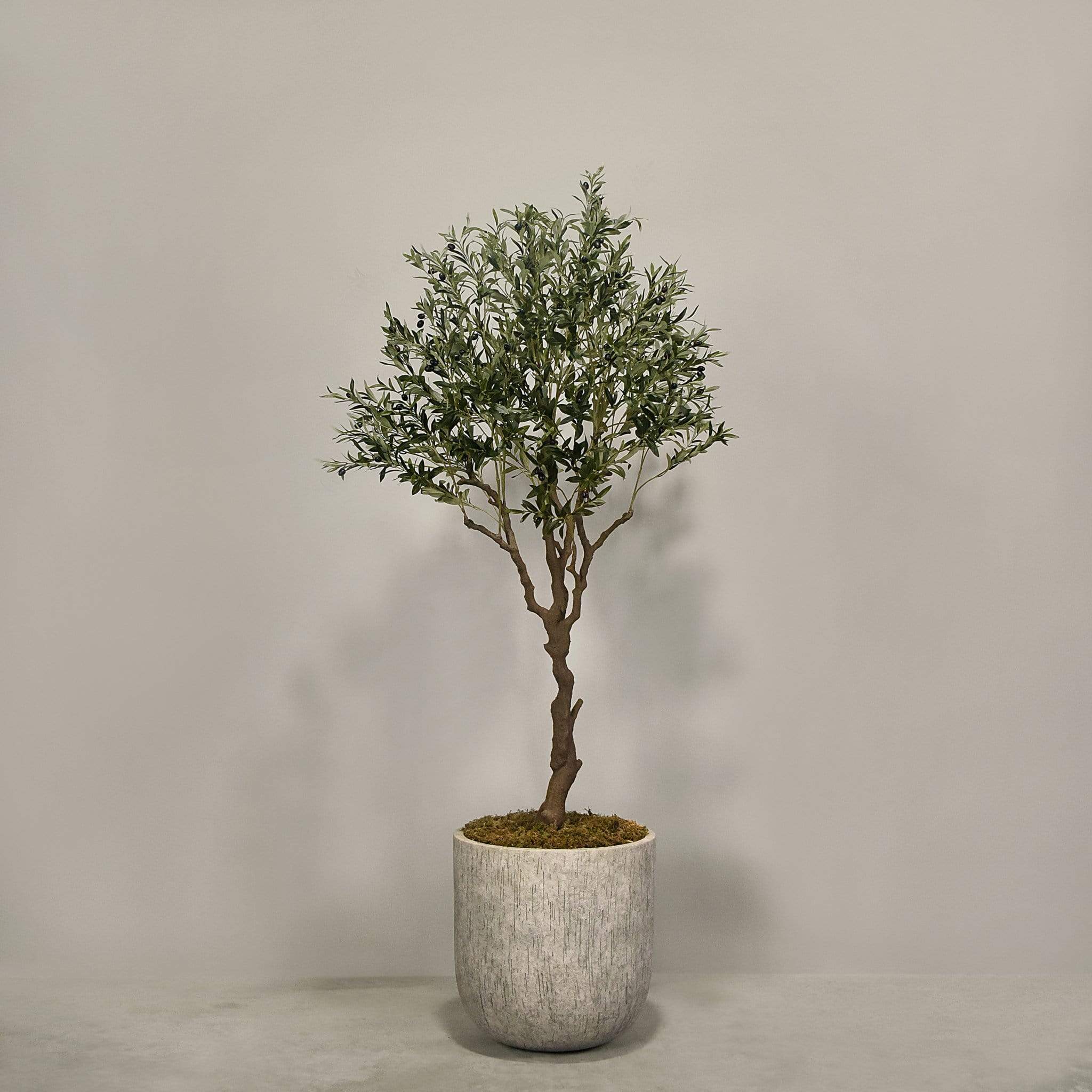 صورة المنتج 2