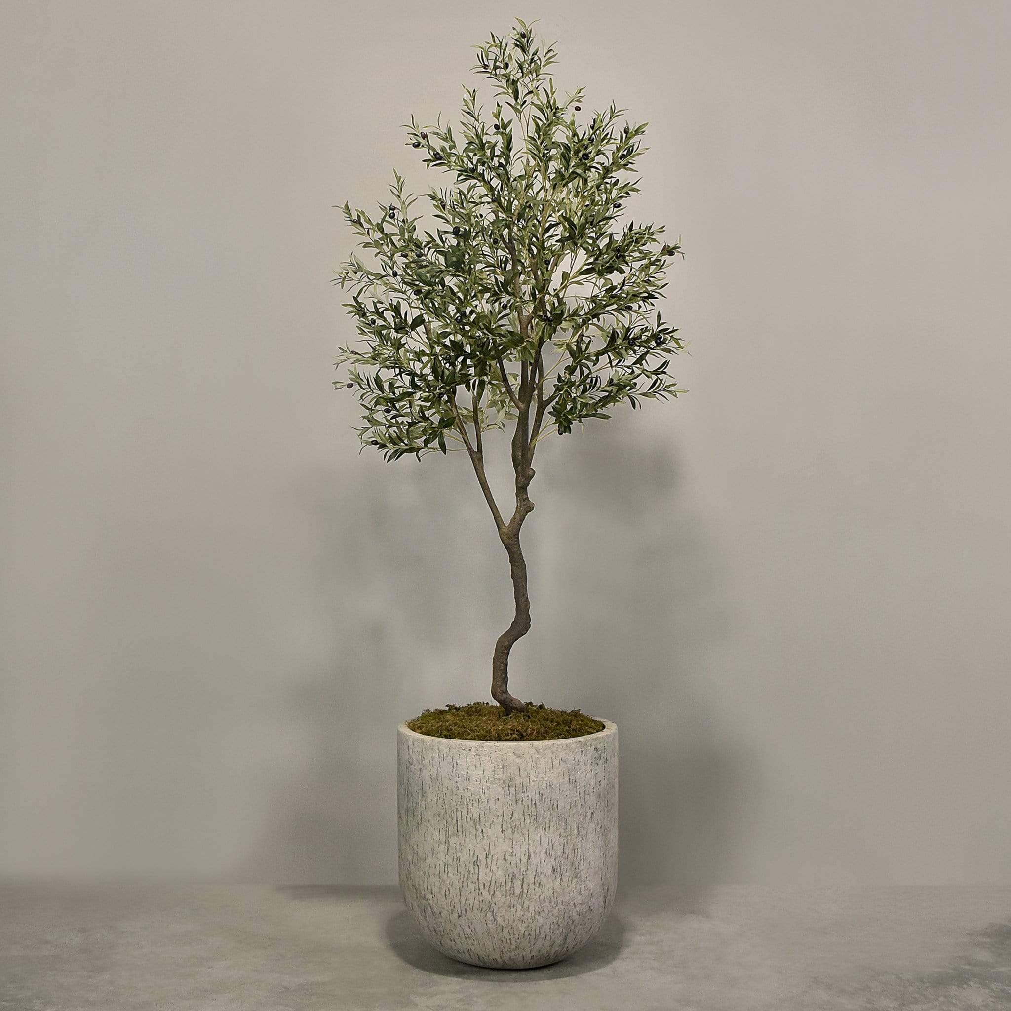 صورة المنتج 4