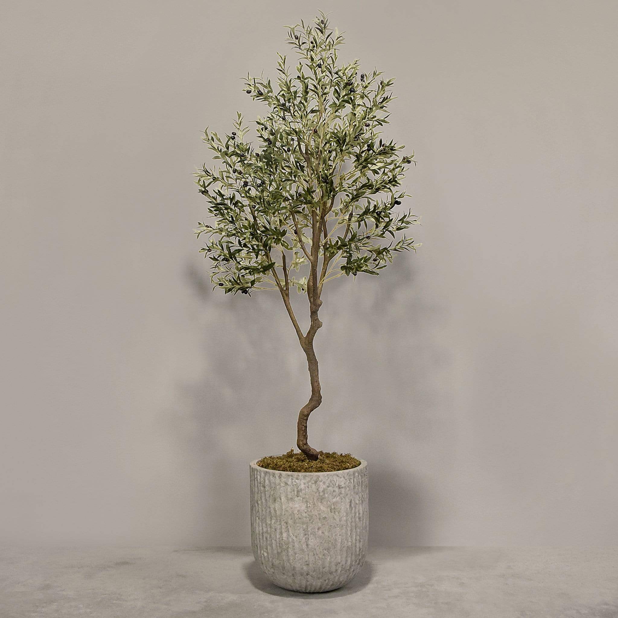 صورة المنتج 6