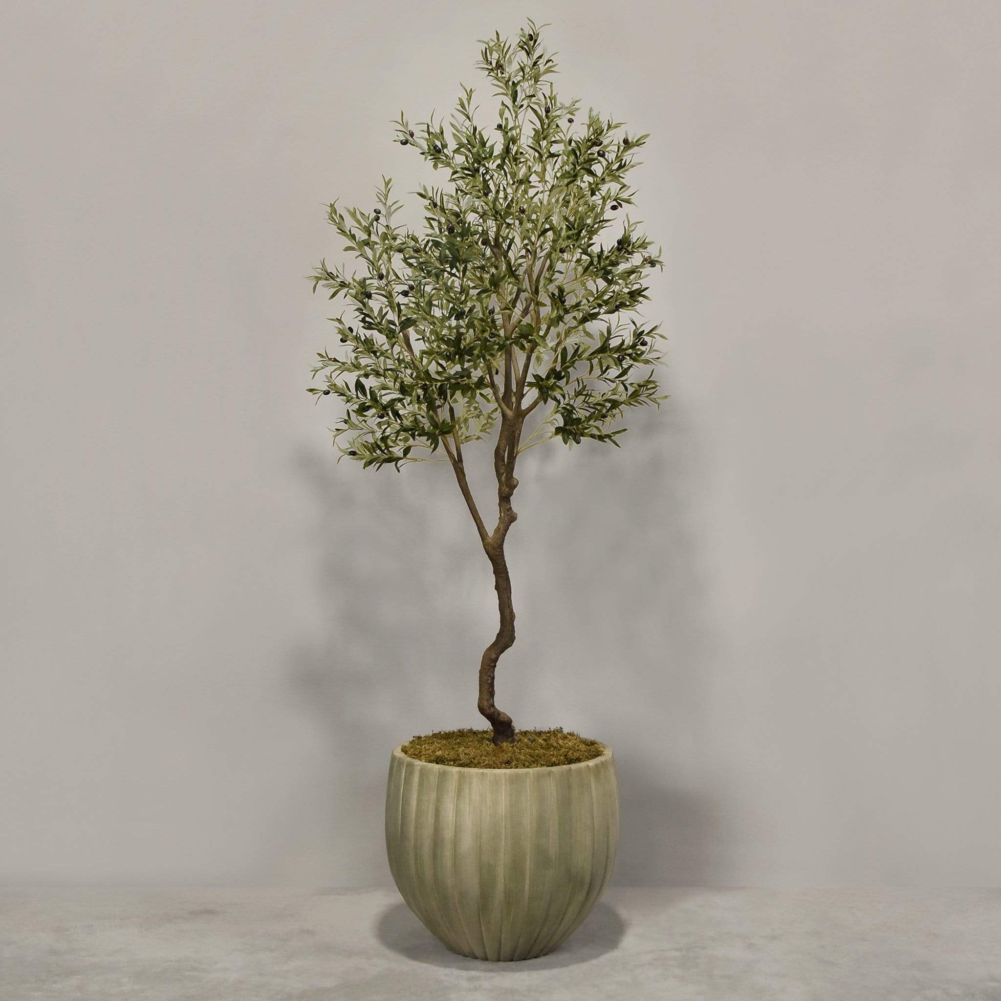 صورة المنتج 8