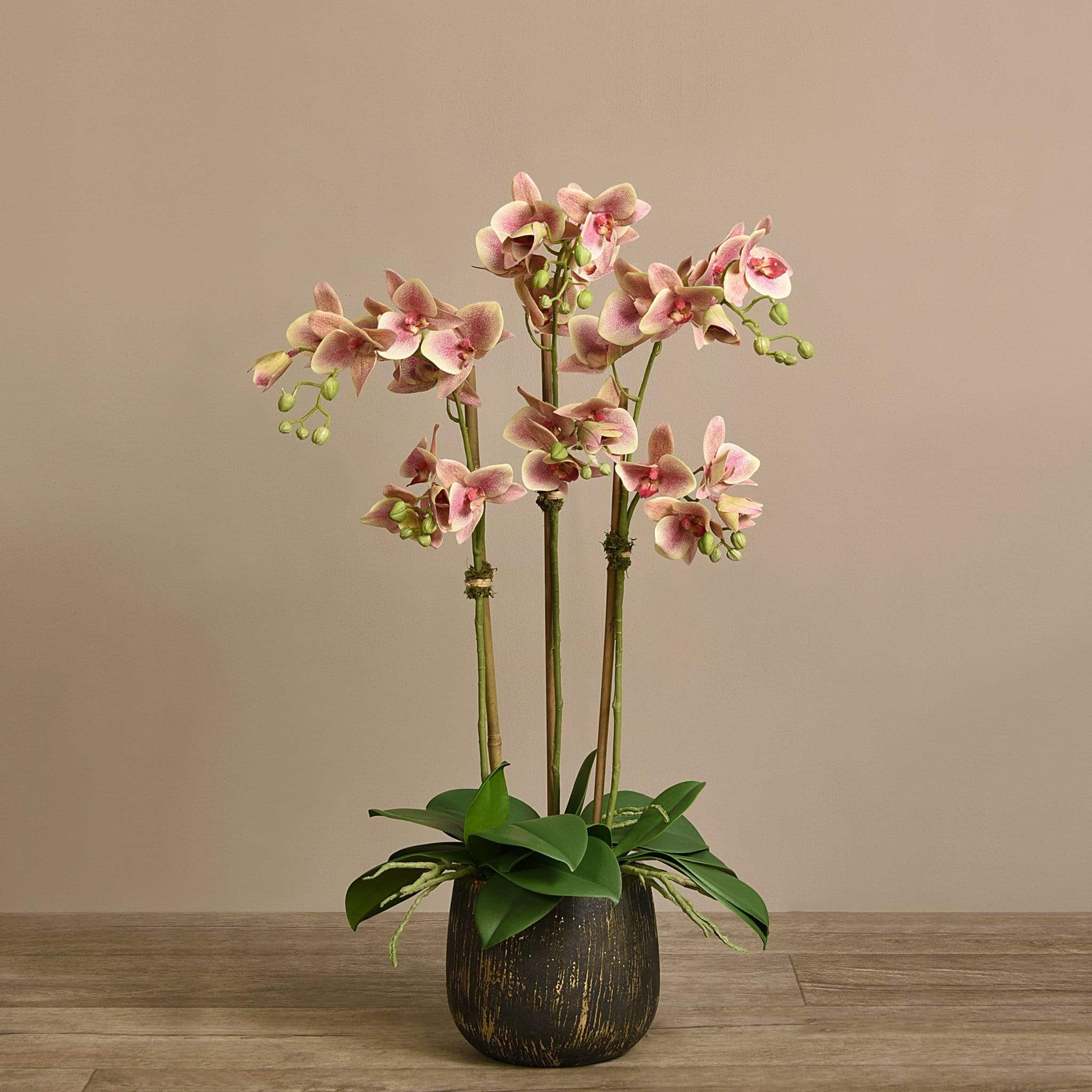 صورة المنتج 9