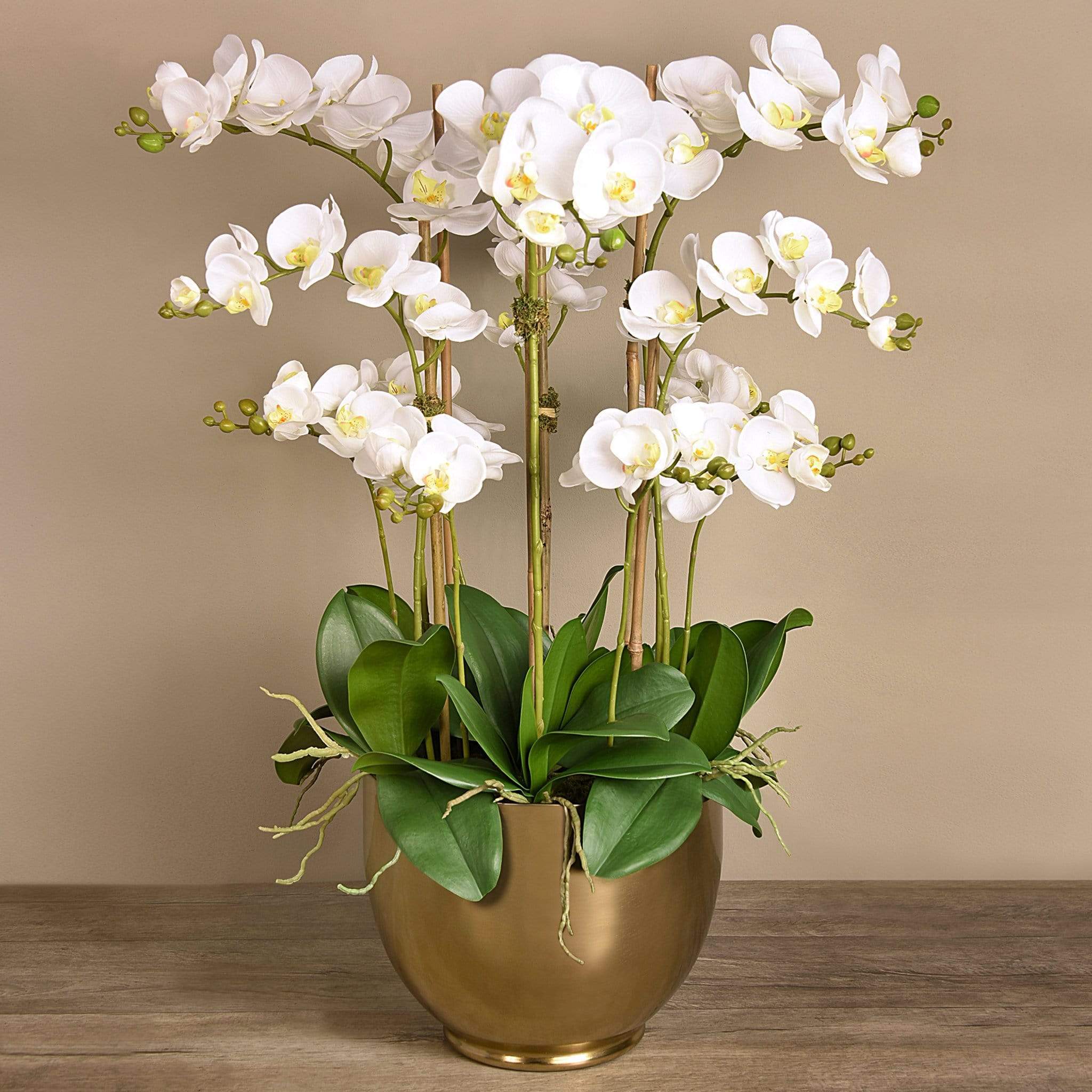 صورة المنتج 3