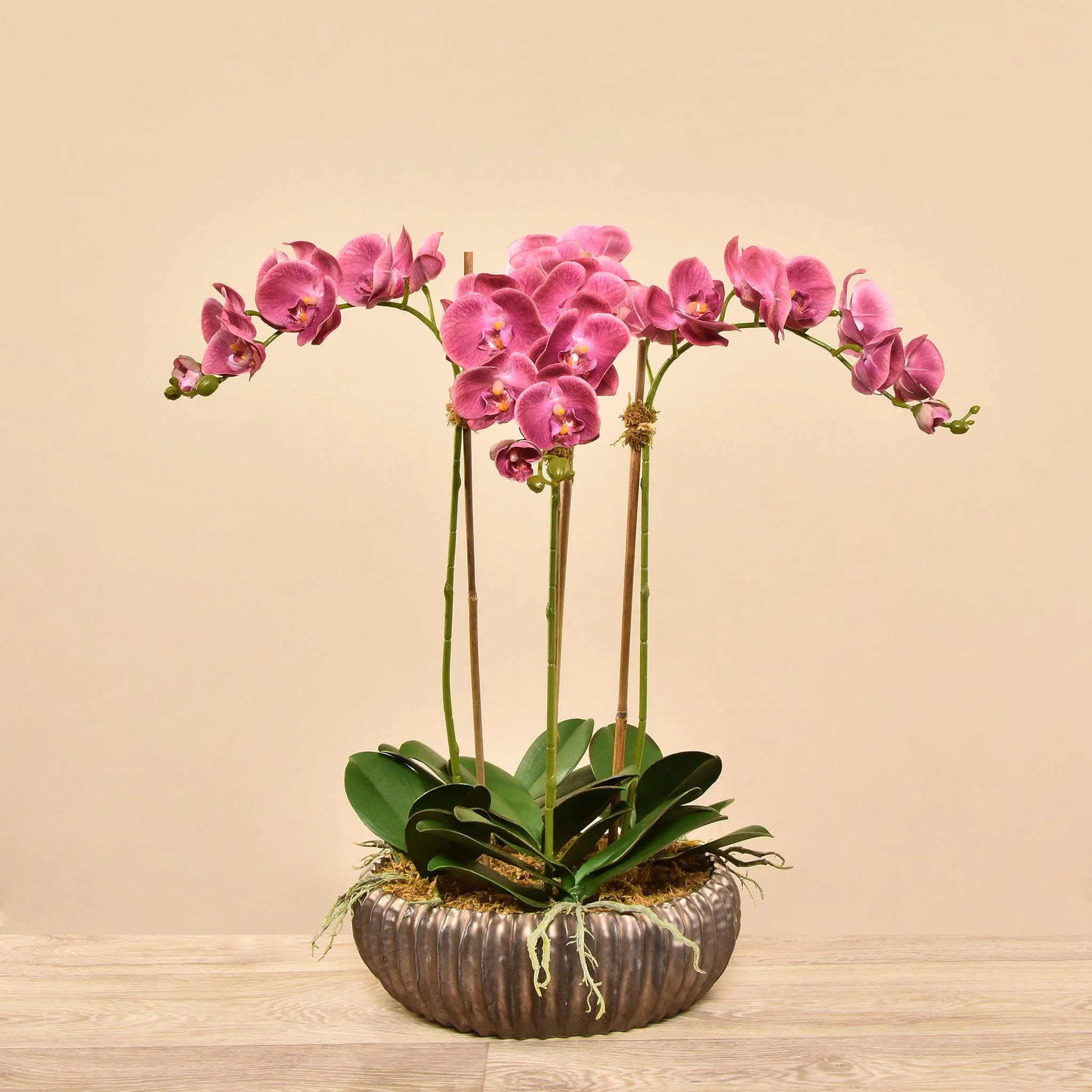 صورة المنتج 14