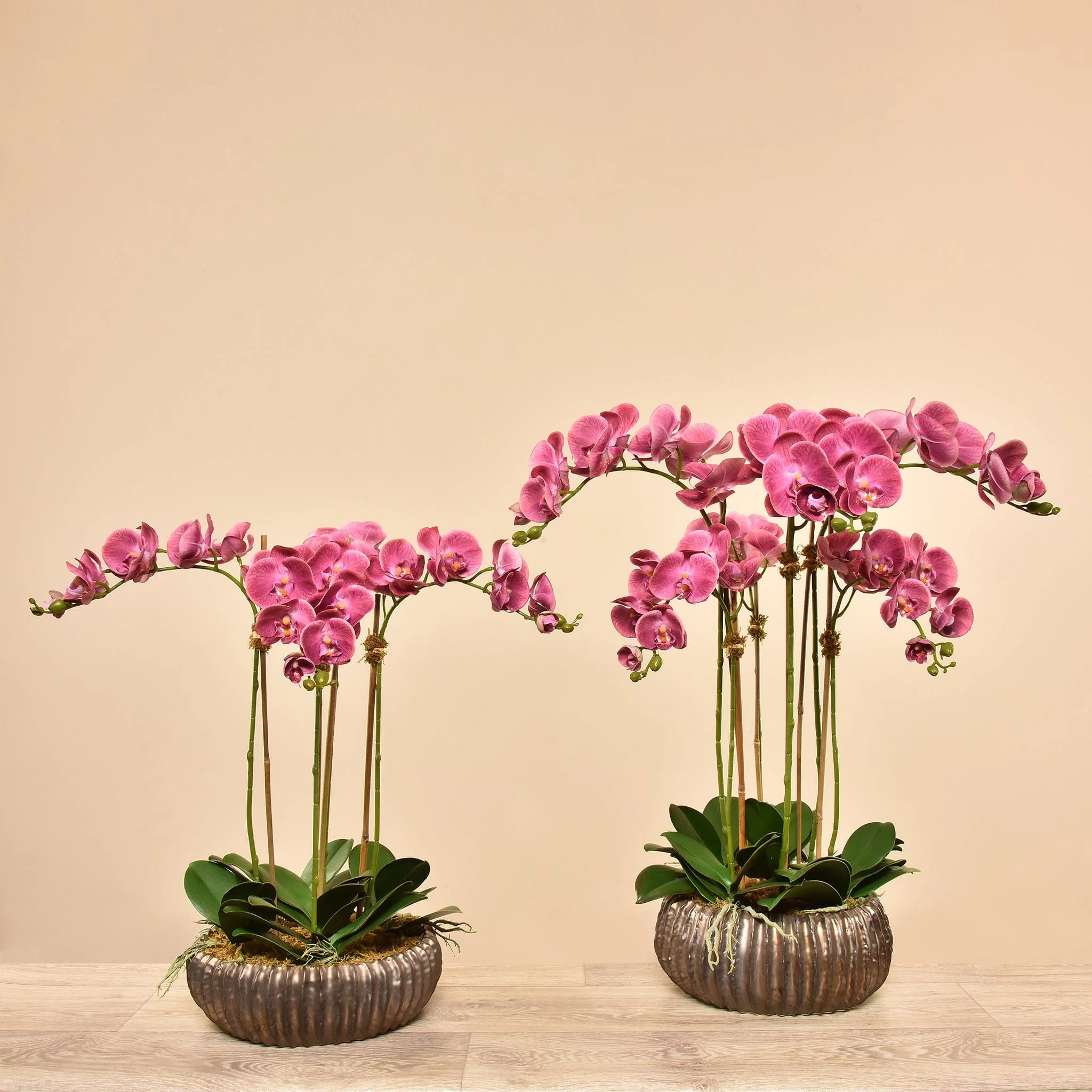 صورة المنتج 15