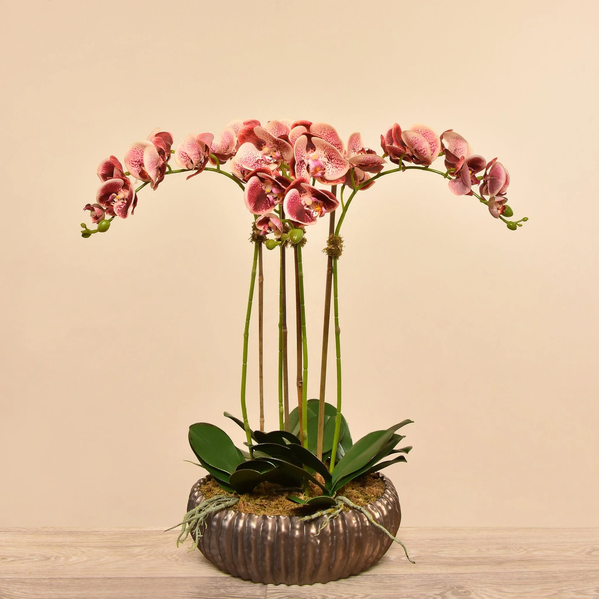 صورة المنتج 23