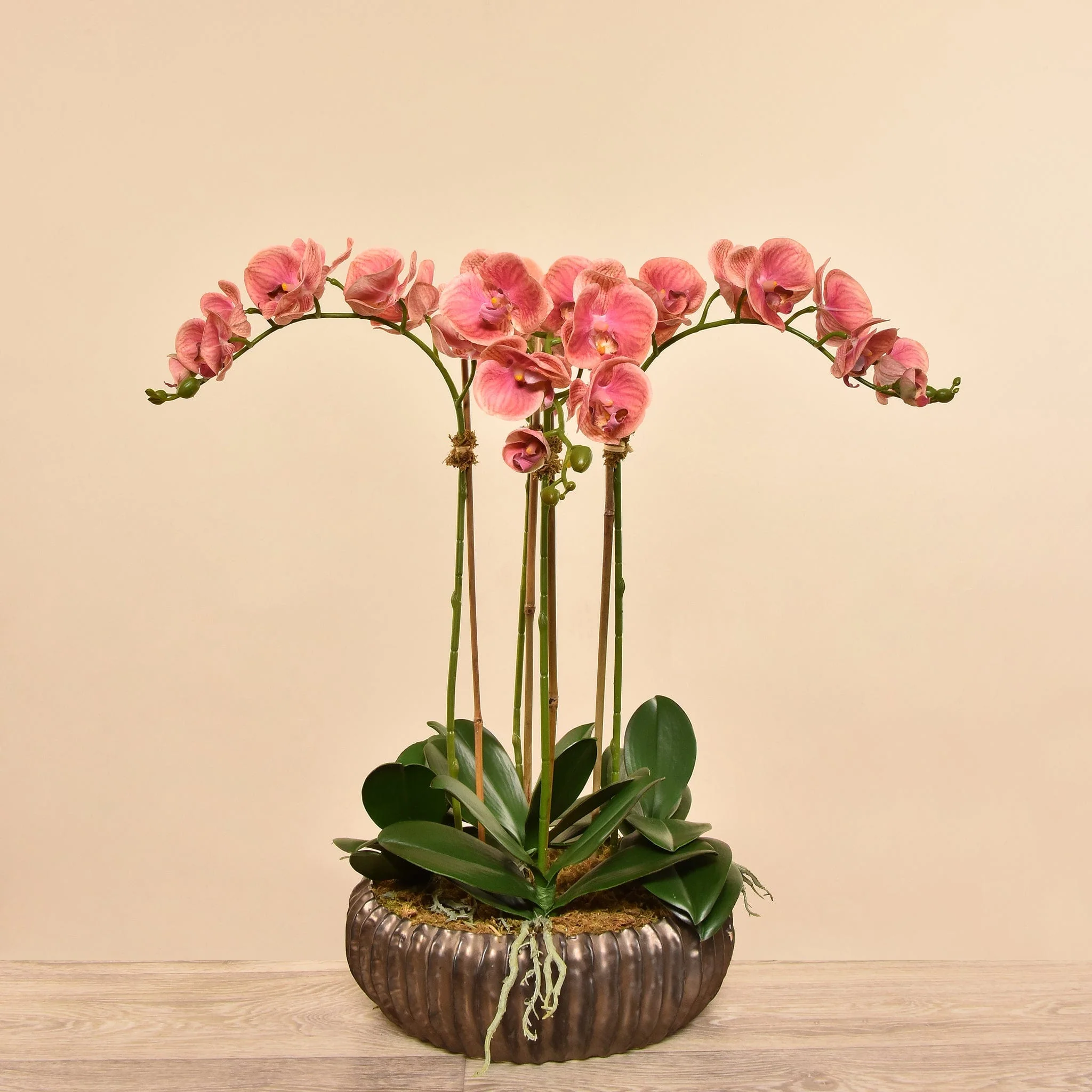 صورة المنتج 4