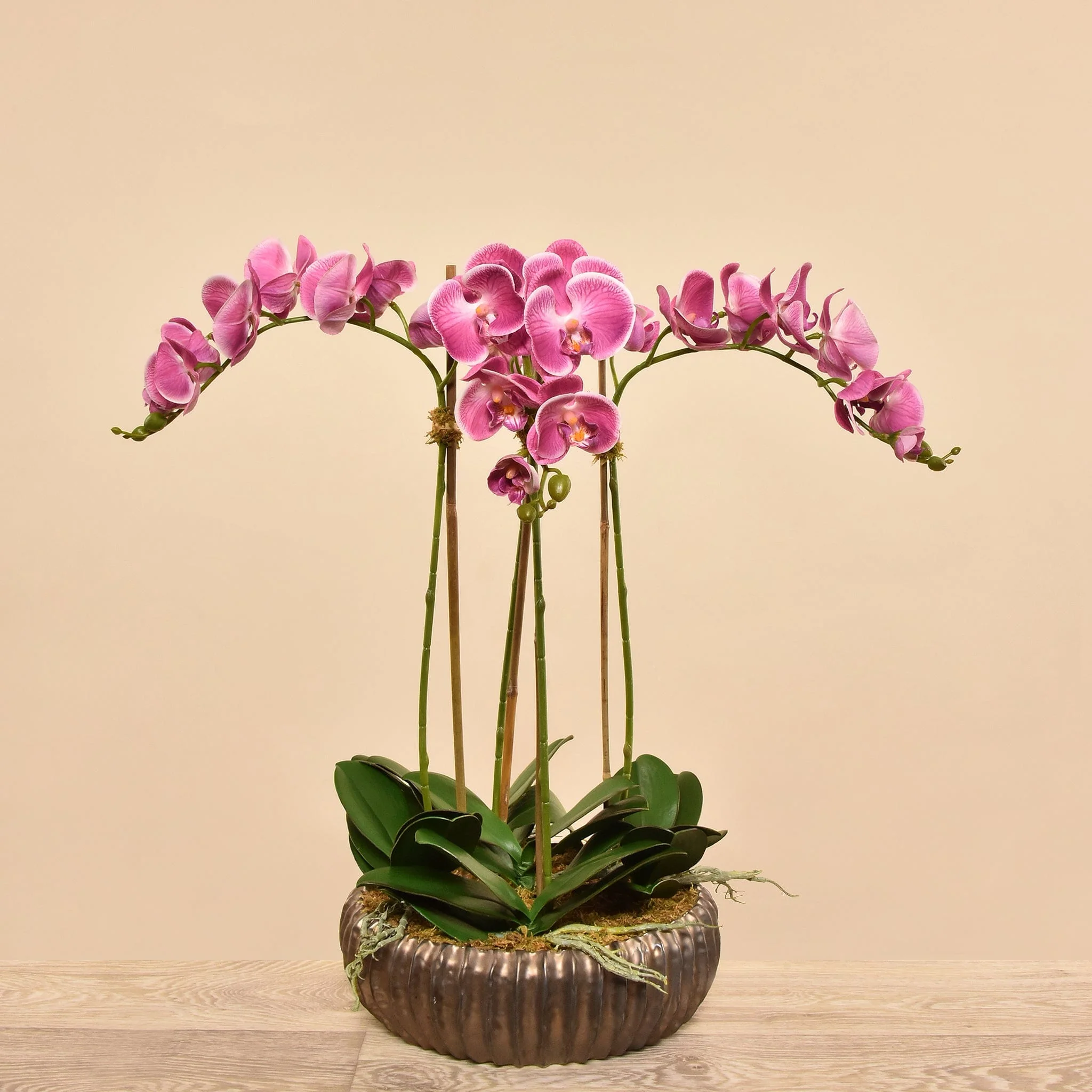 صورة المنتج 9
