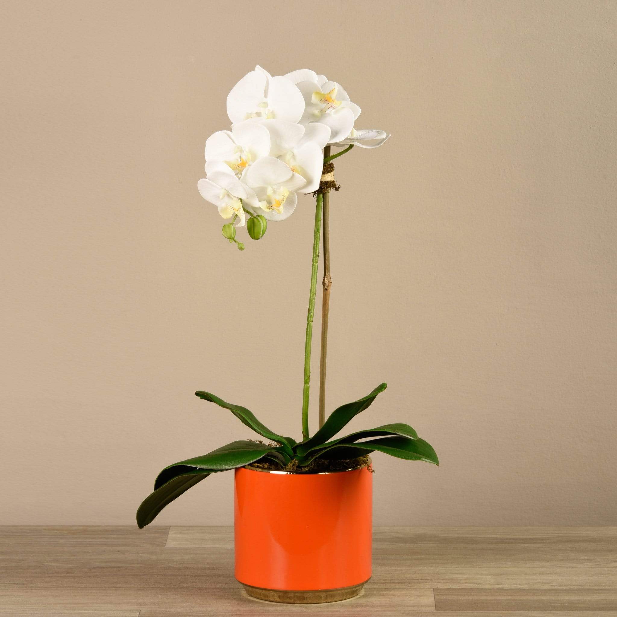 صورة المنتج 2