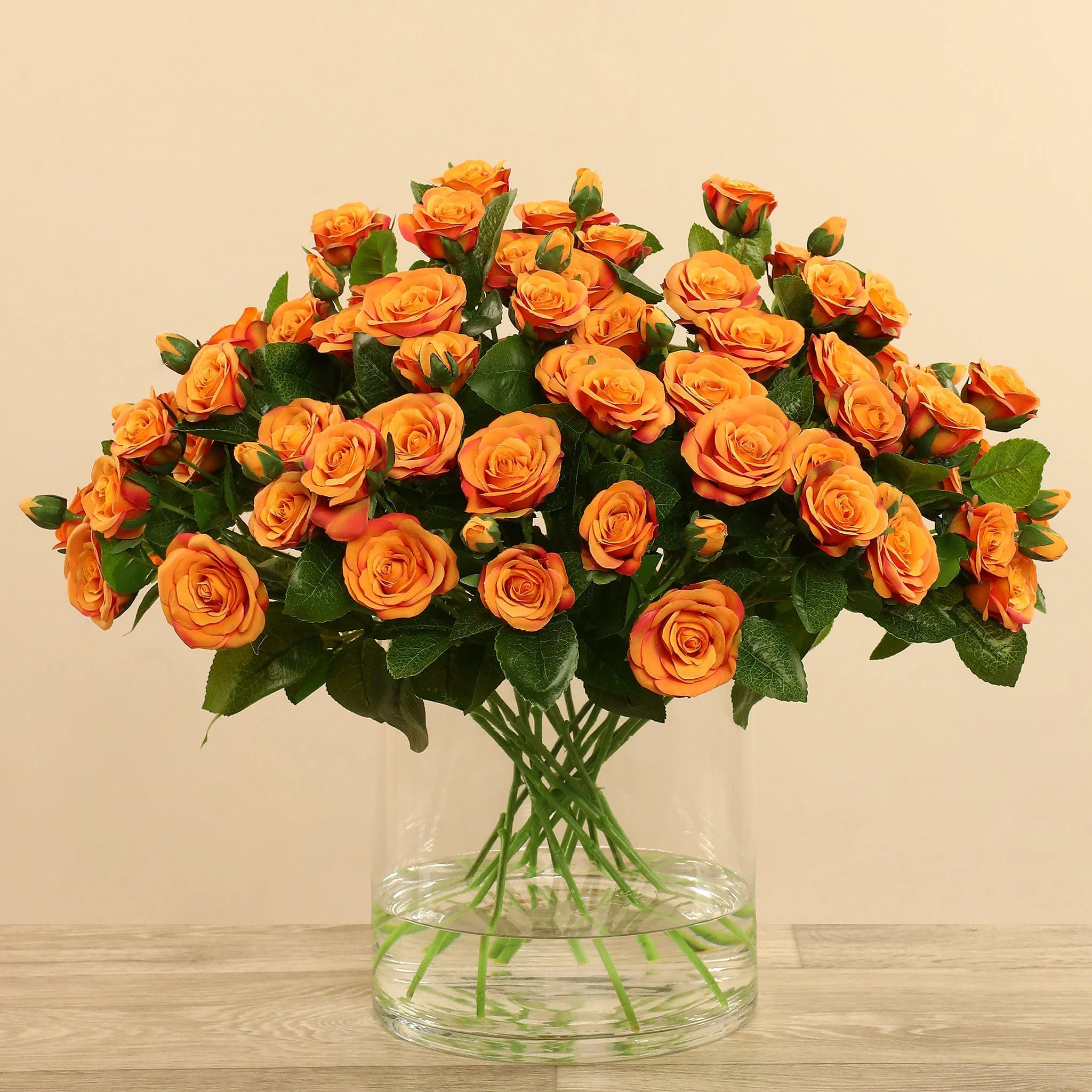 صورة المنتج 12