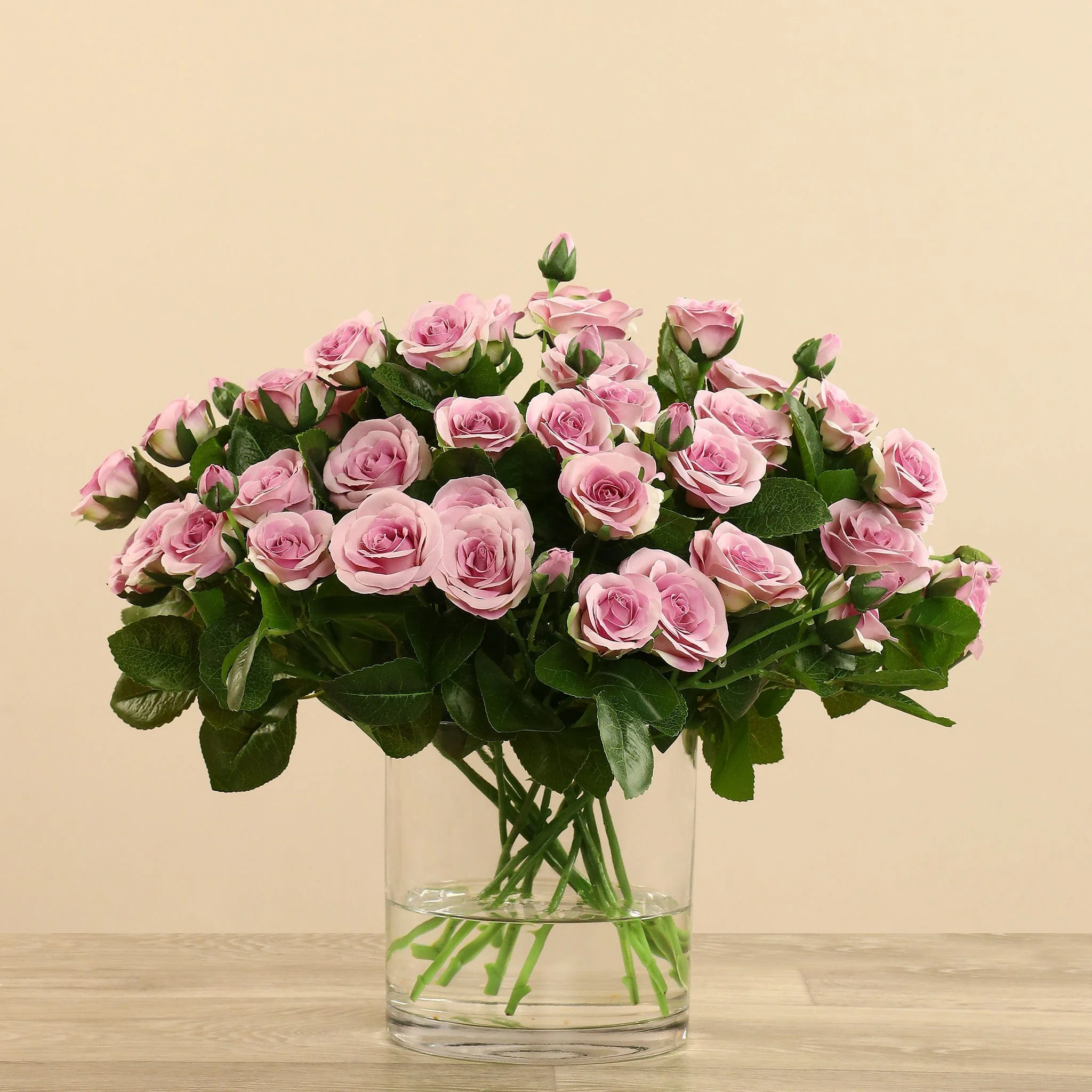 صورة المنتج 15
