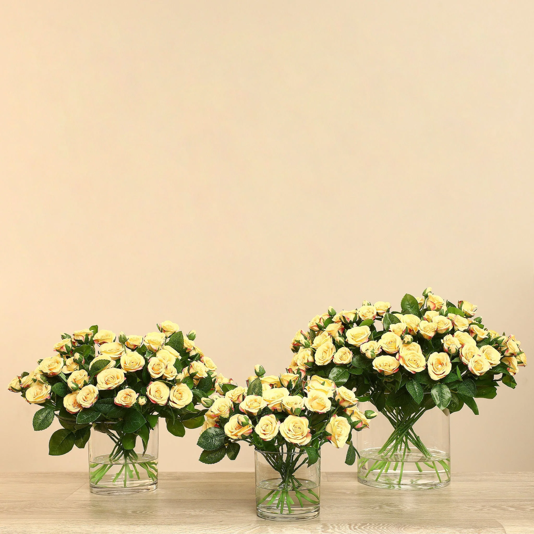 صورة المنتج 17