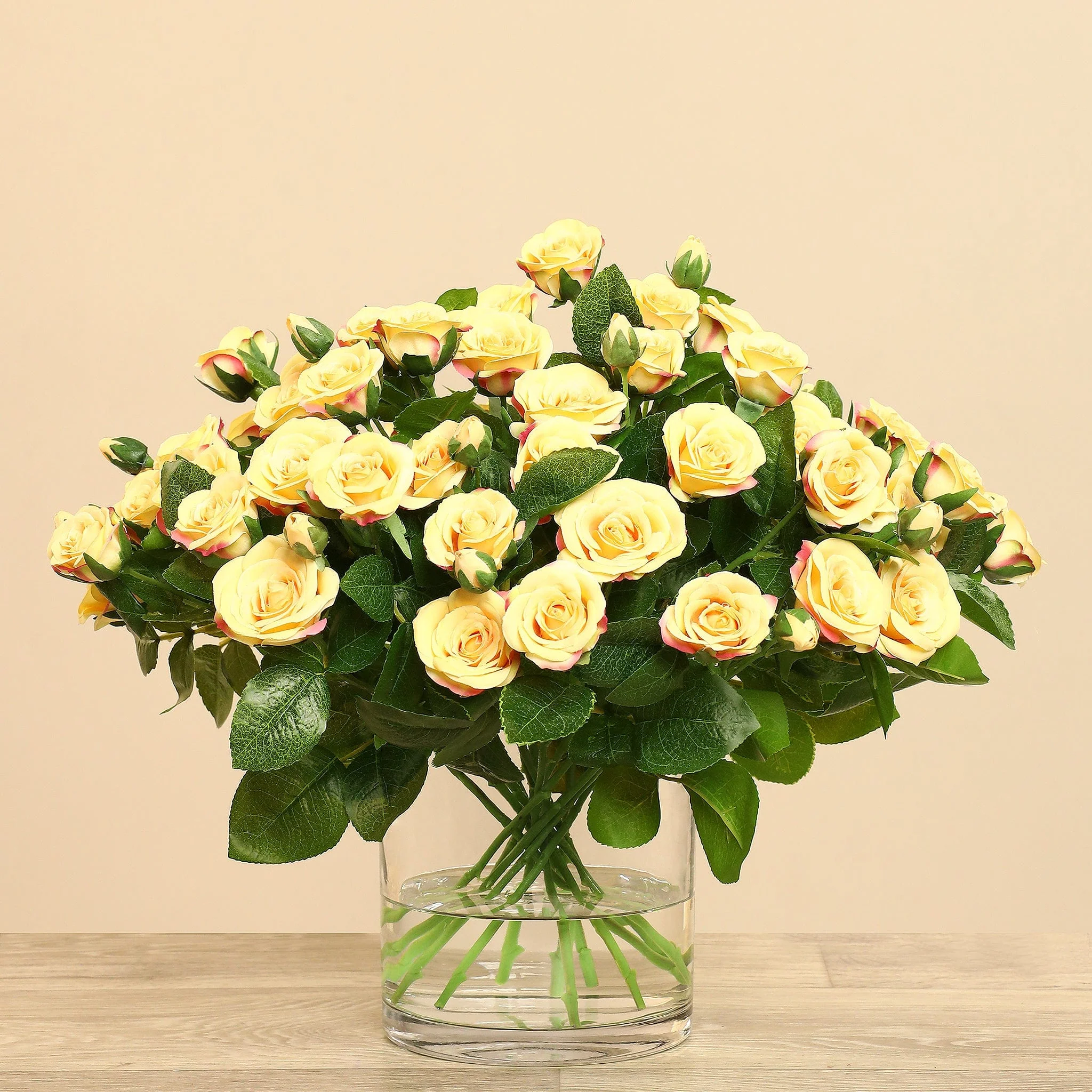 صورة المنتج 19