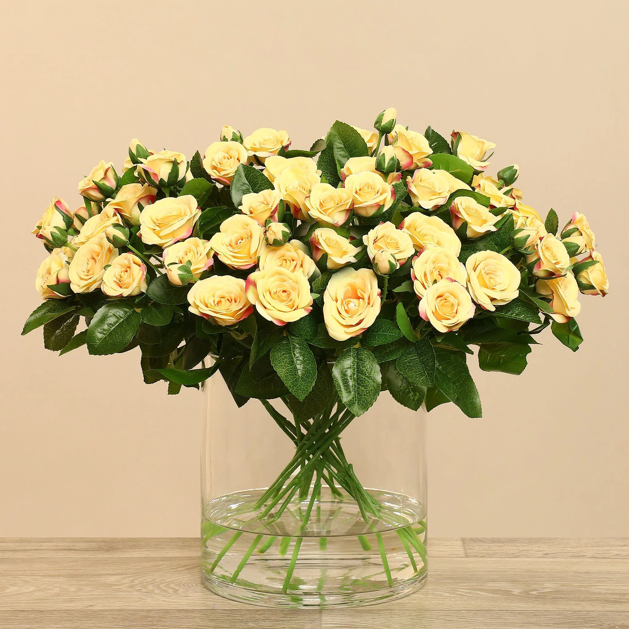 صورة المنتج 20