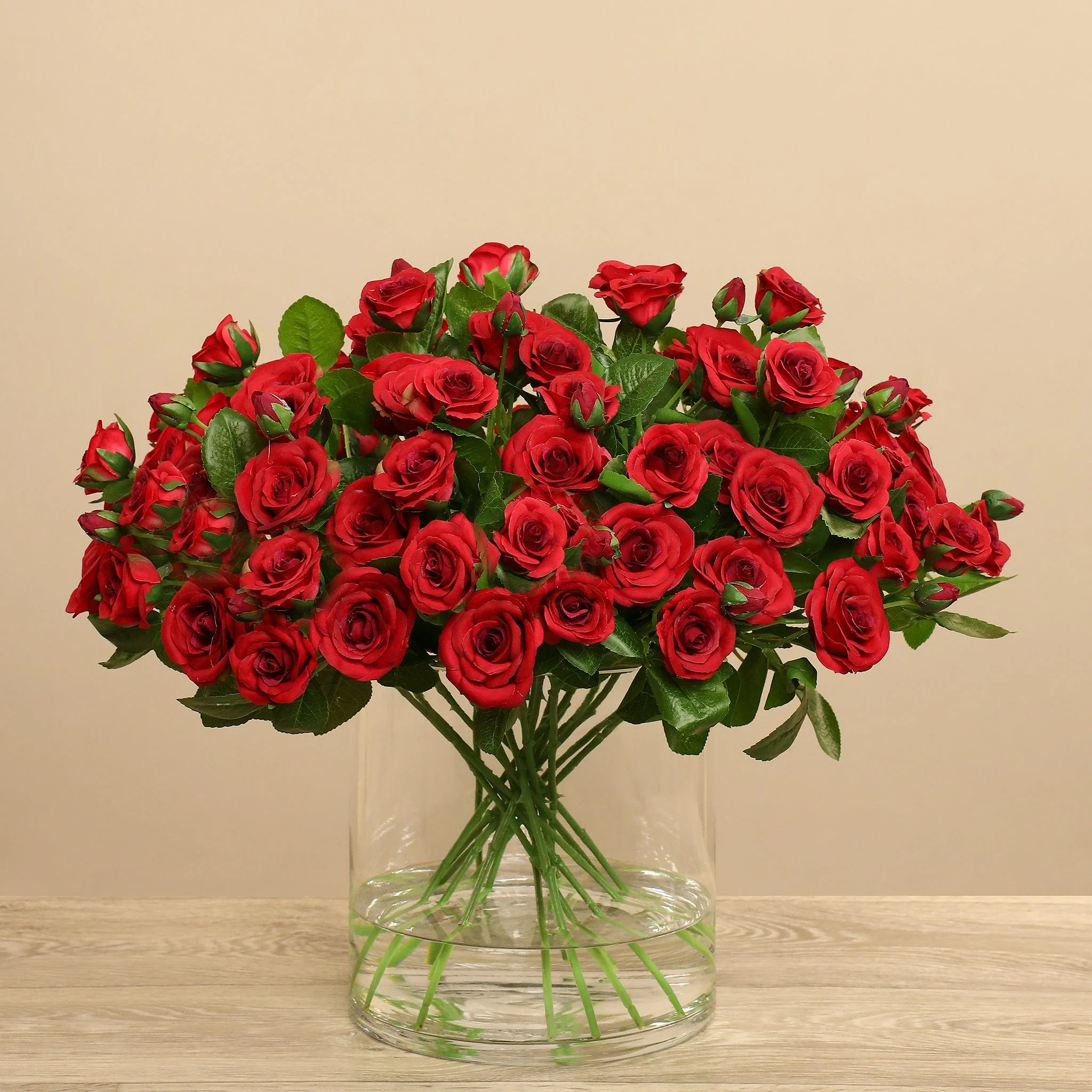 صورة المنتج 24