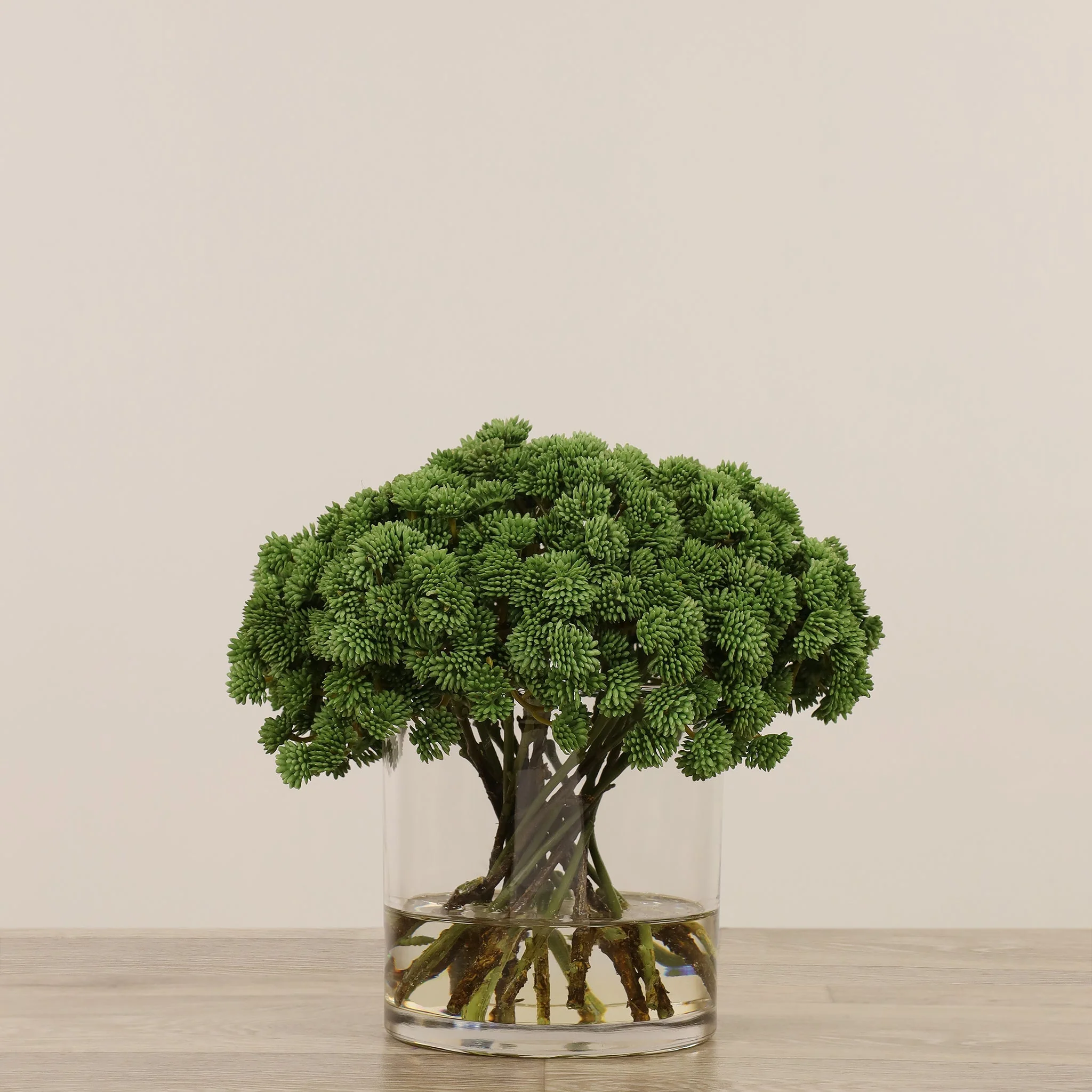 صورة المنتج 10
