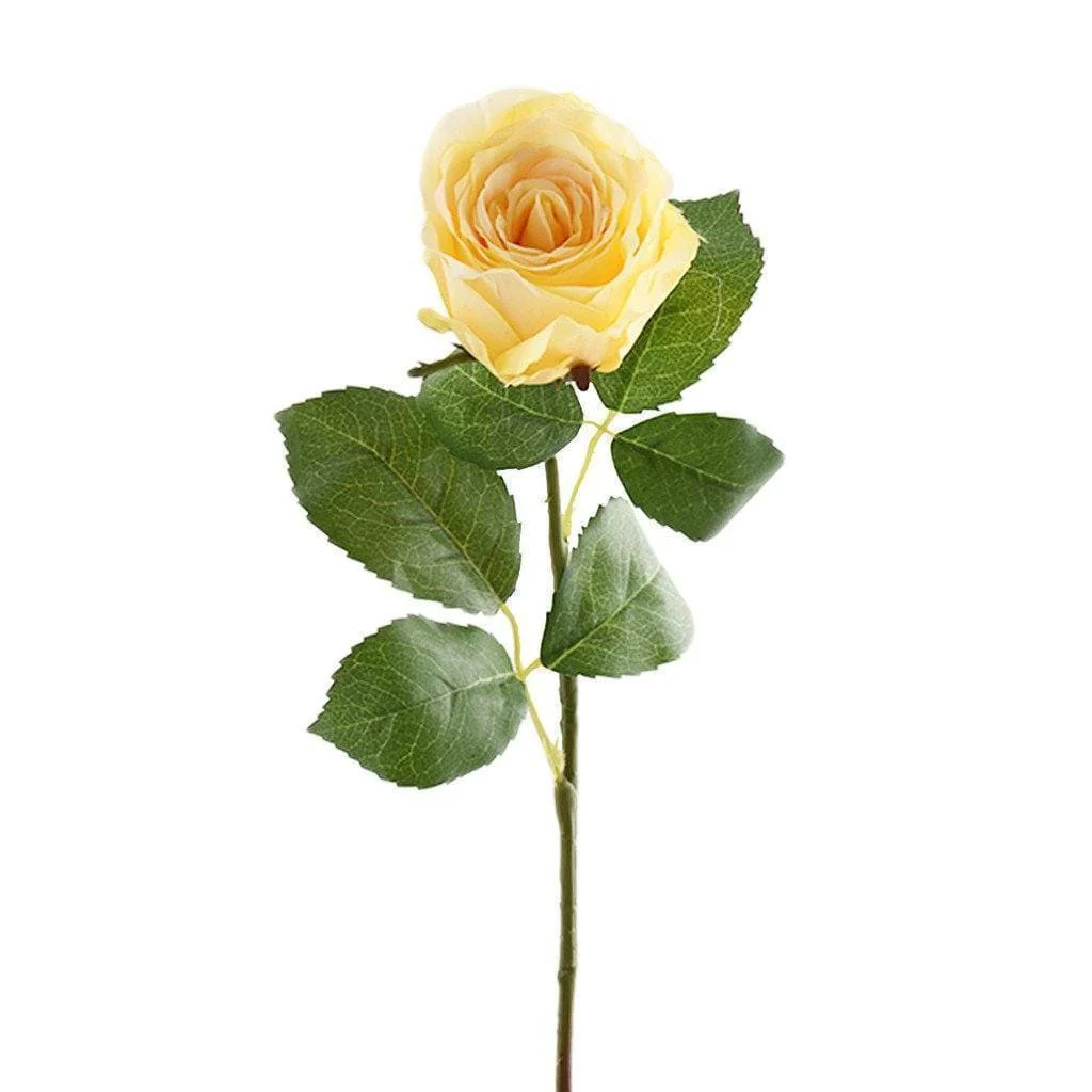 صورة المنتج 5