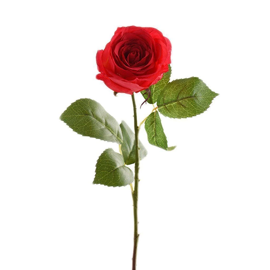 صورة المنتج 6