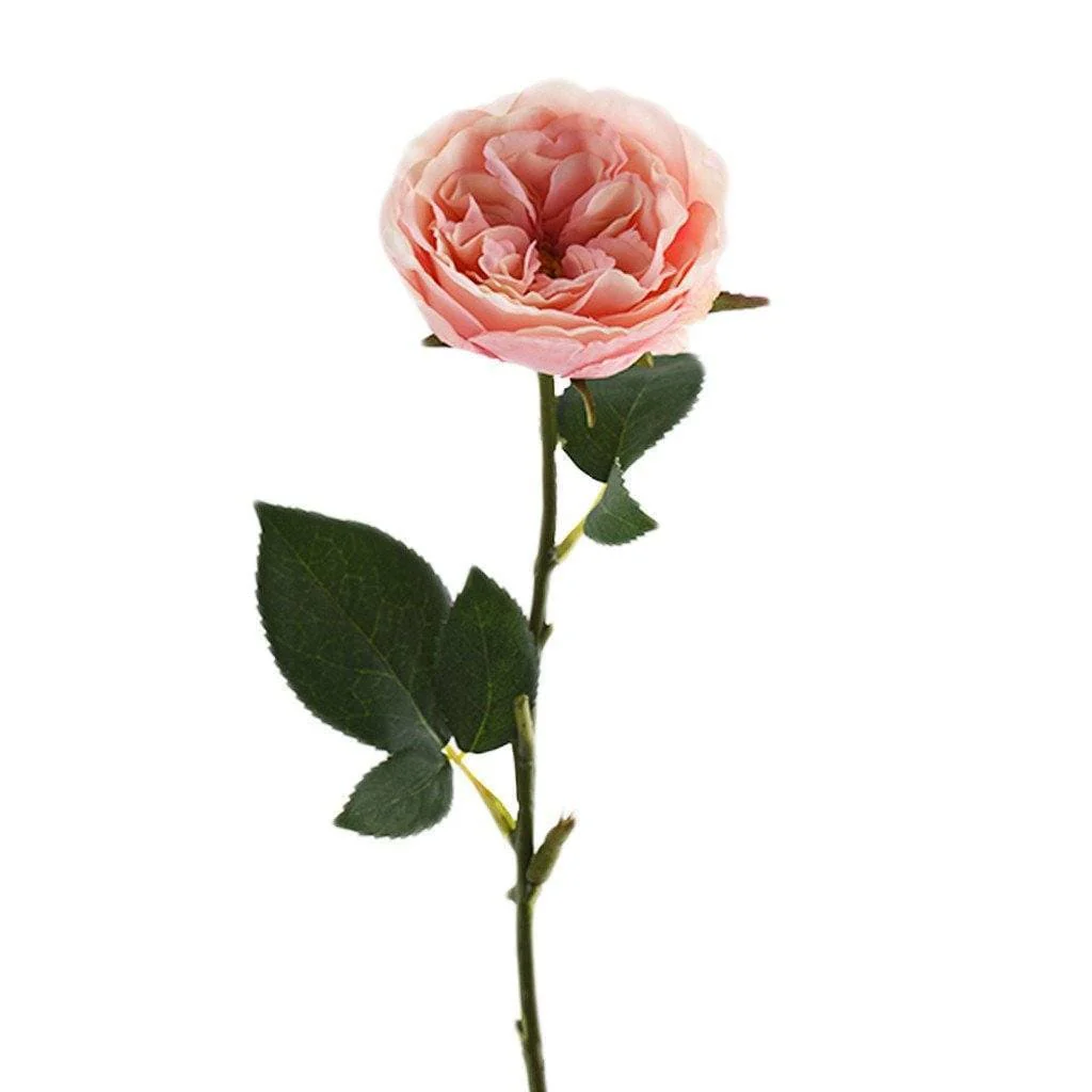 صورة المنتج 3