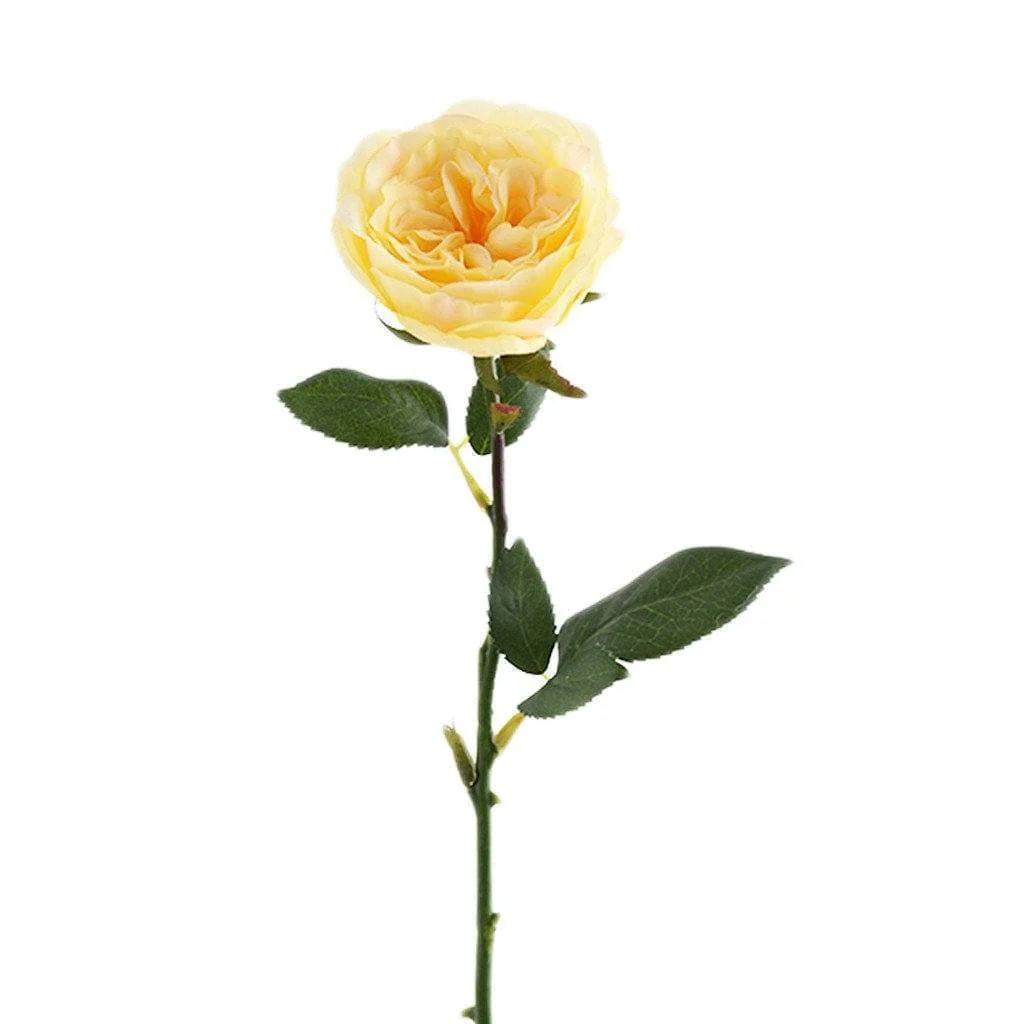 صورة المنتج 4