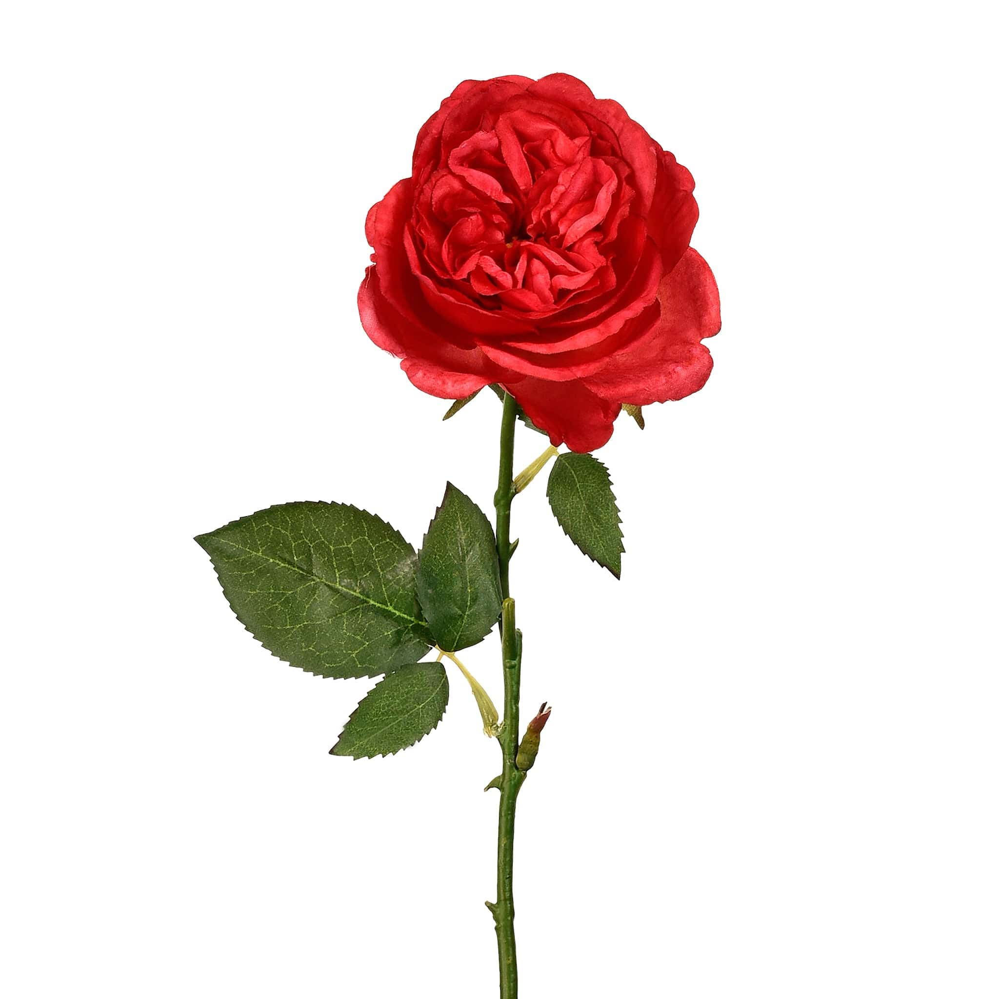صورة المنتج 5