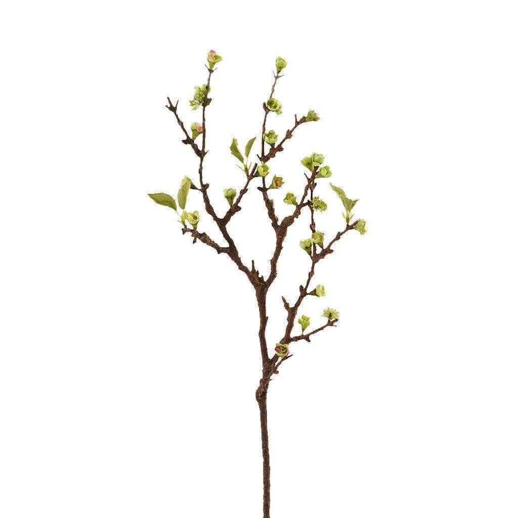 صورة المنتج 2