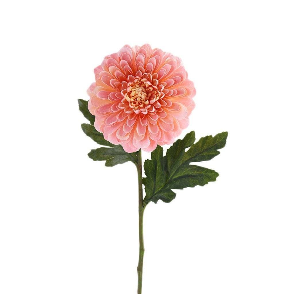 صورة المنتج 2
