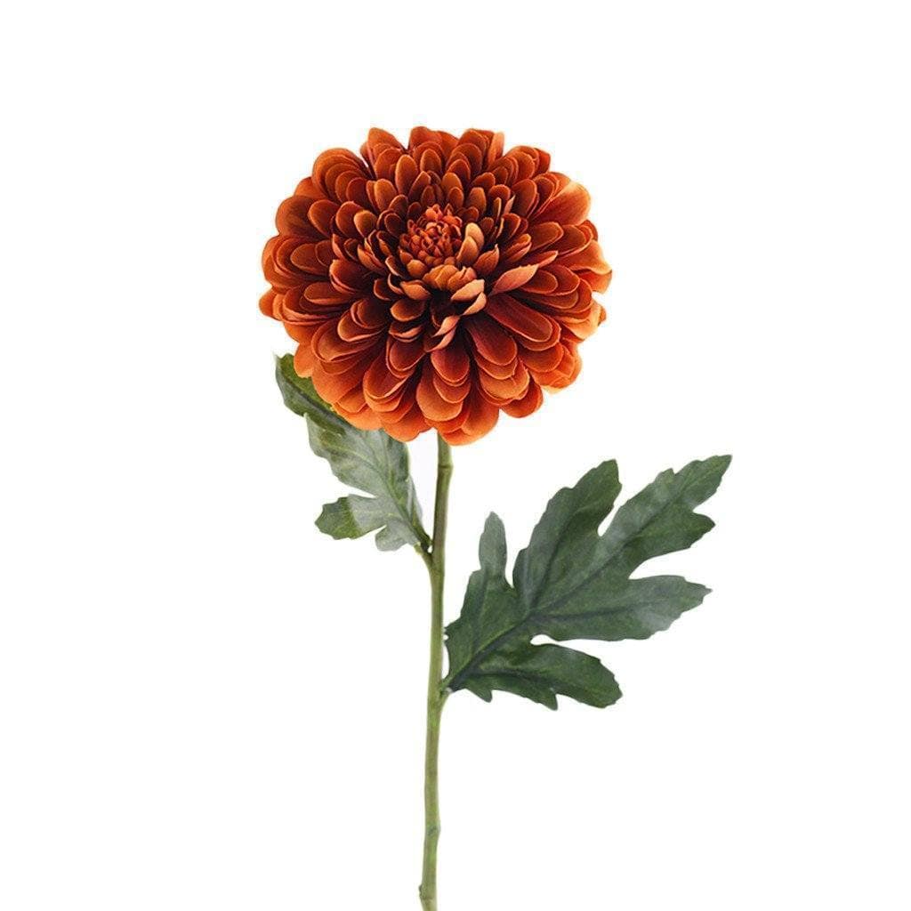 صورة المنتج 3