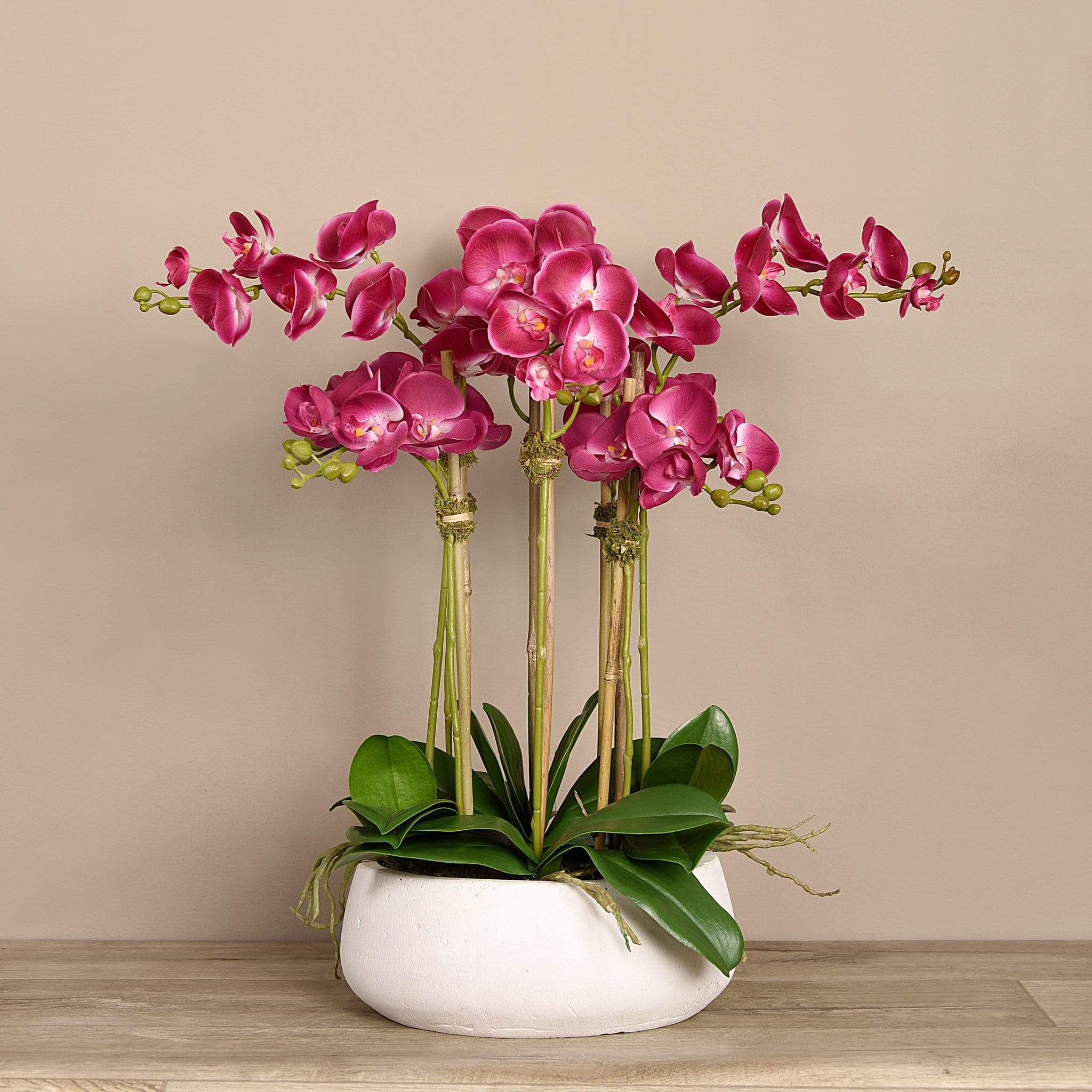 صورة المنتج 4