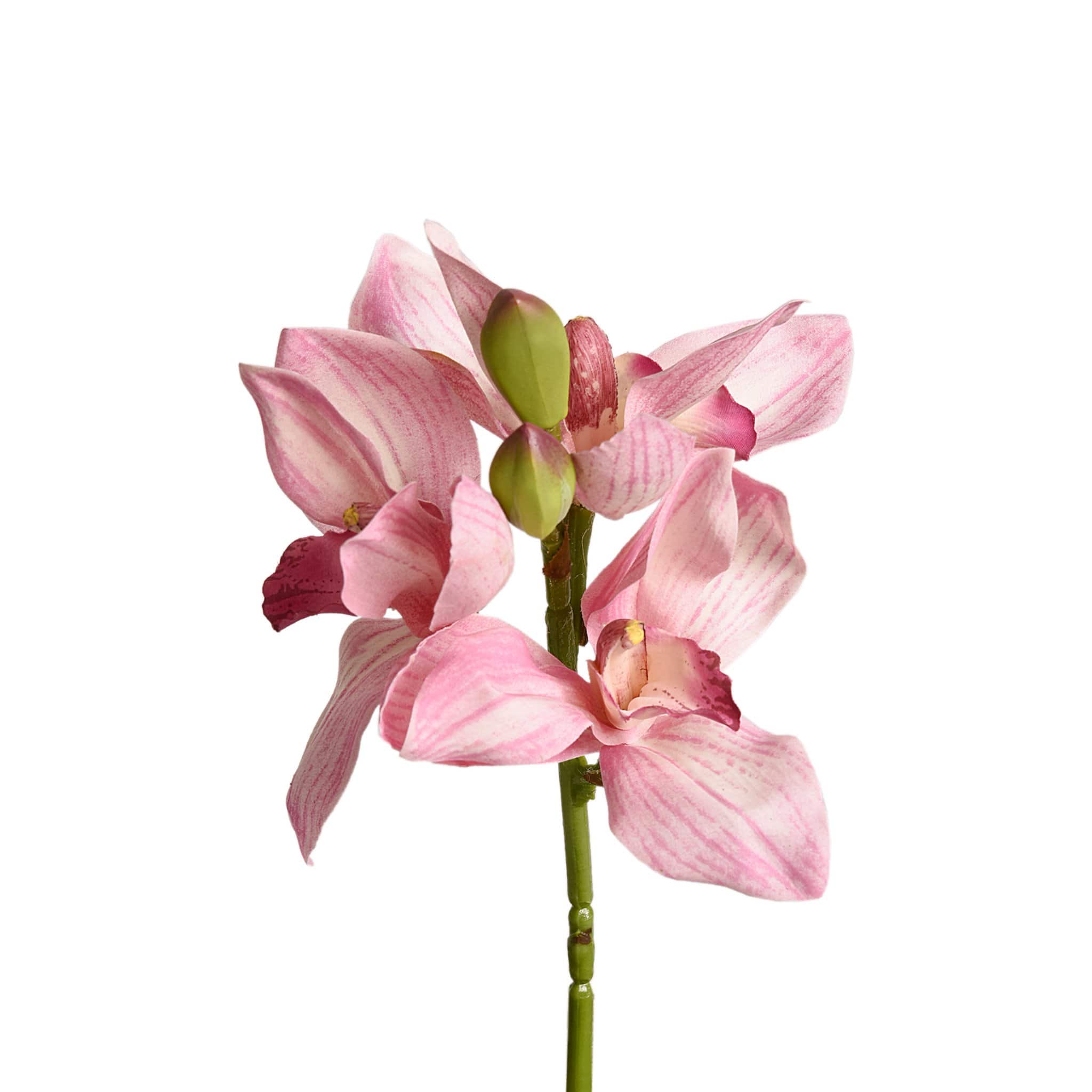 صورة المنتج 2
