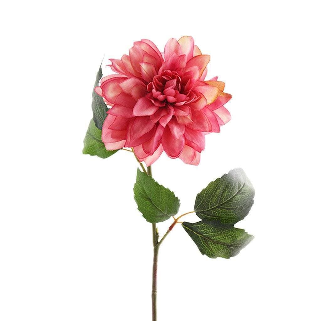 صورة المنتج 3