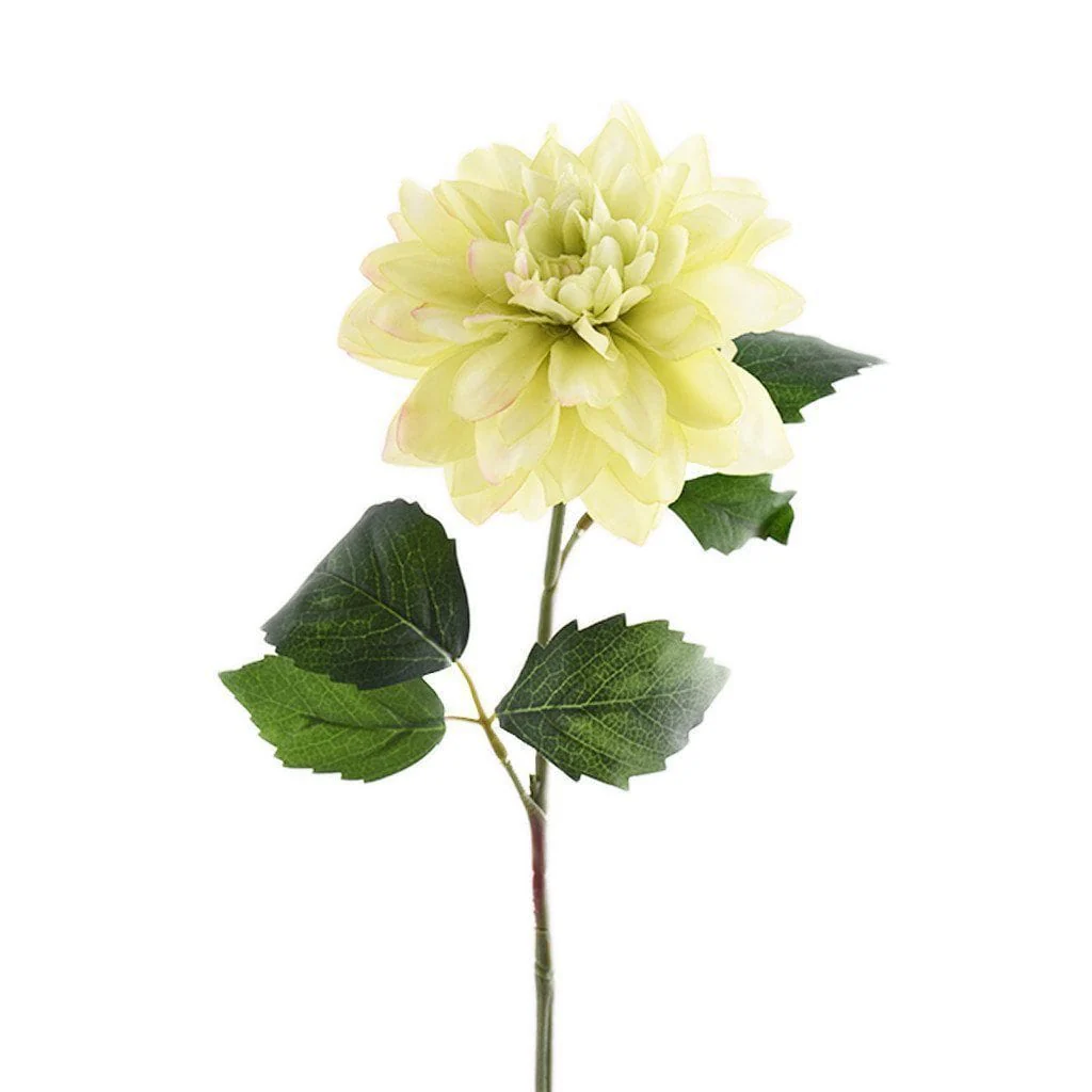 صورة المنتج 4