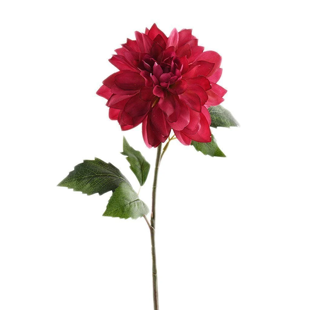 صورة المنتج 5
