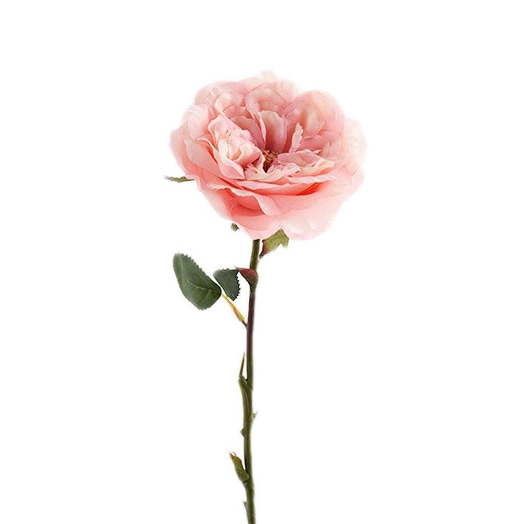 صورة مصغرة 2