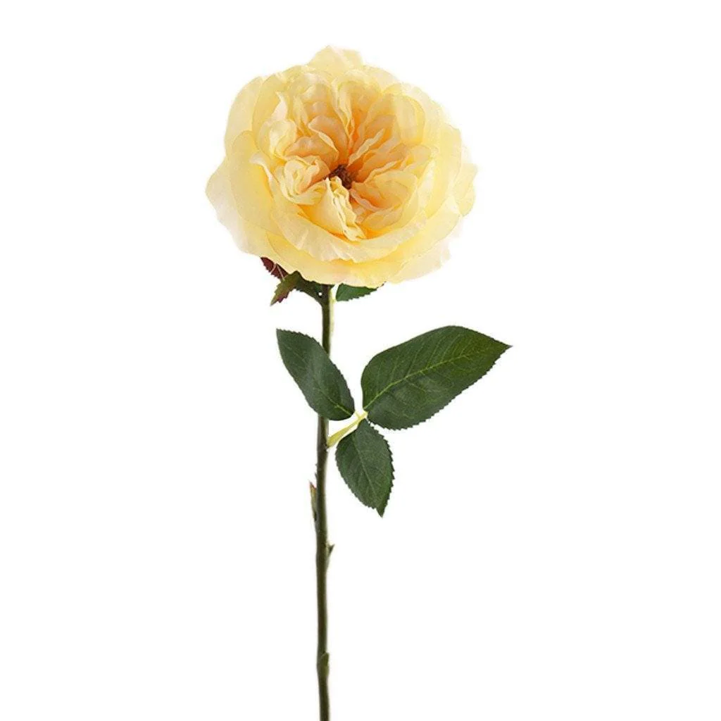 صورة المنتج 3