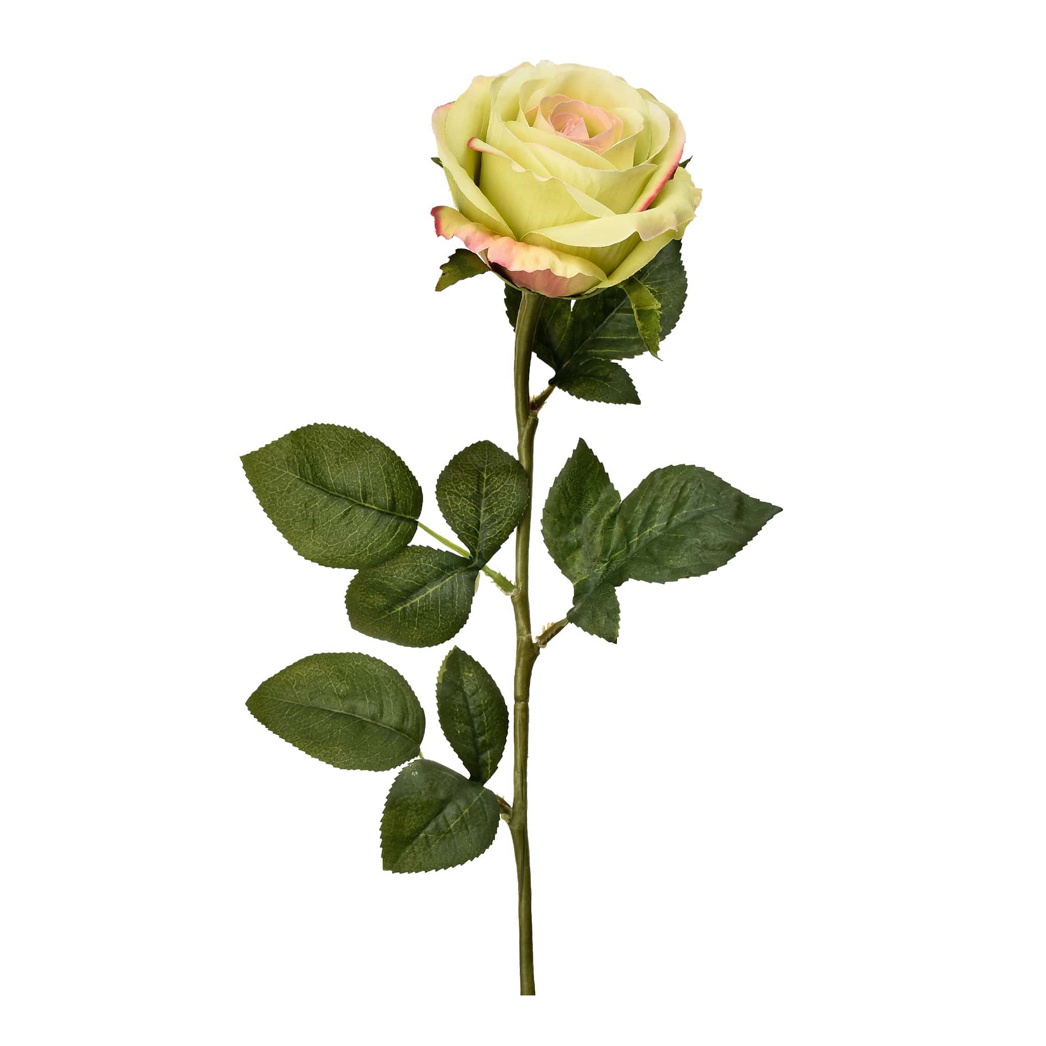 صورة المنتج 8