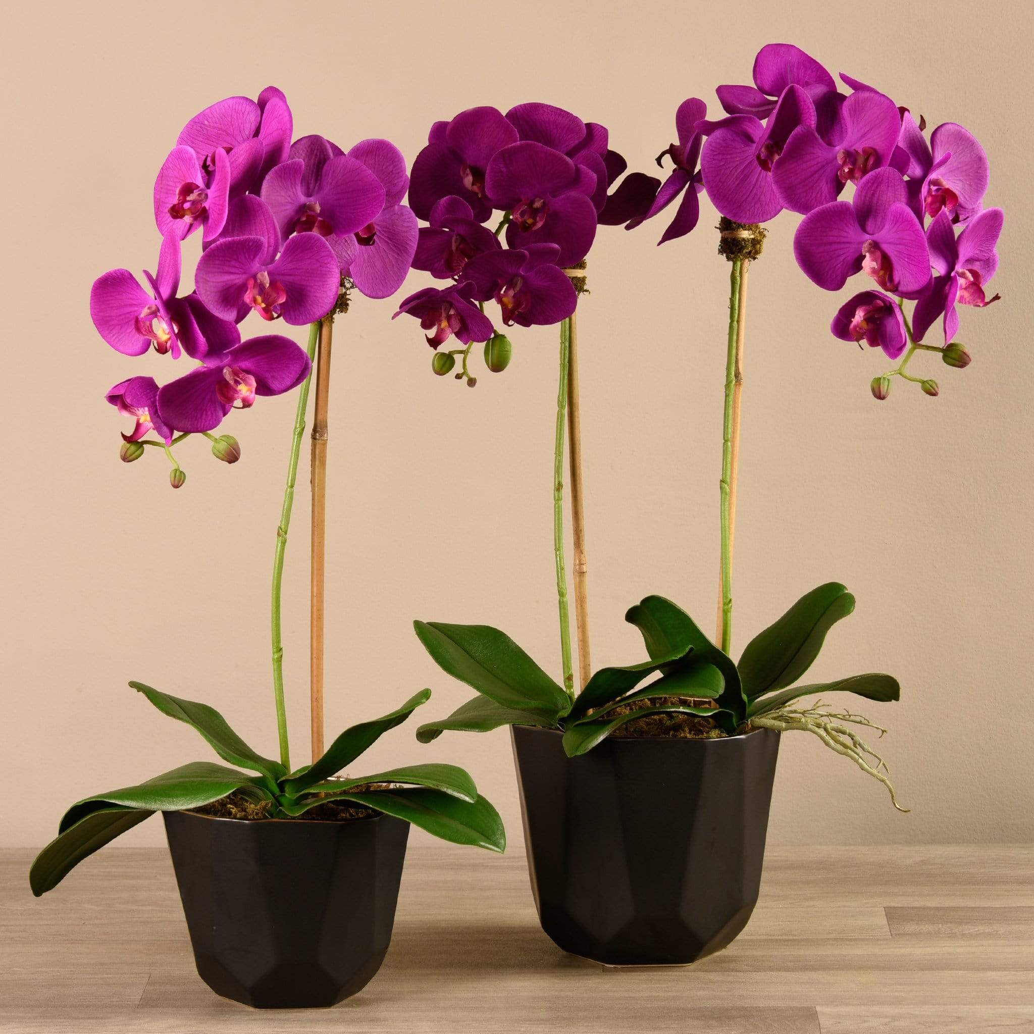صورة المنتج 4