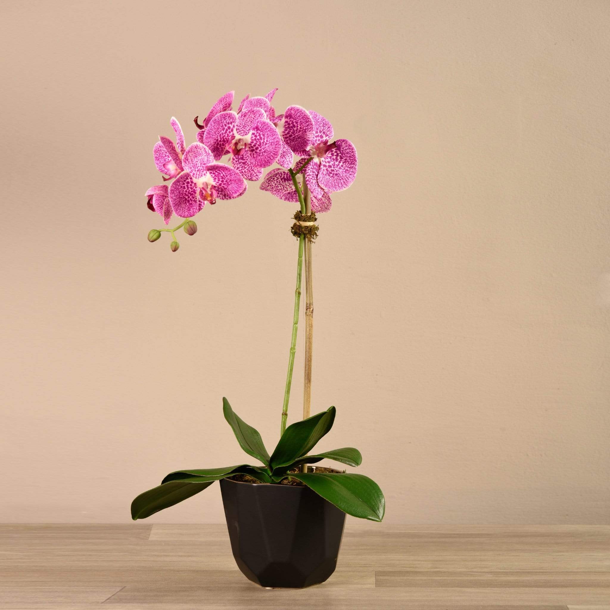 صورة المنتج 8