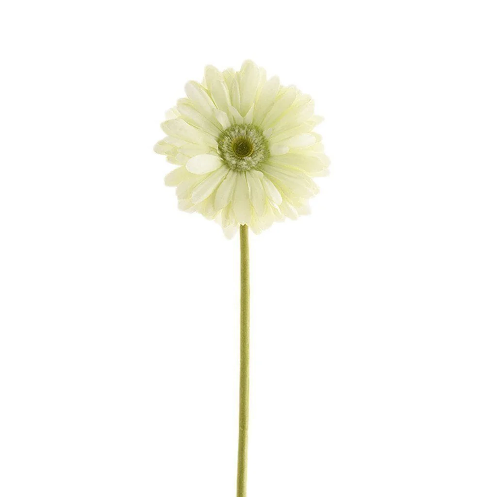 صورة المنتج 4