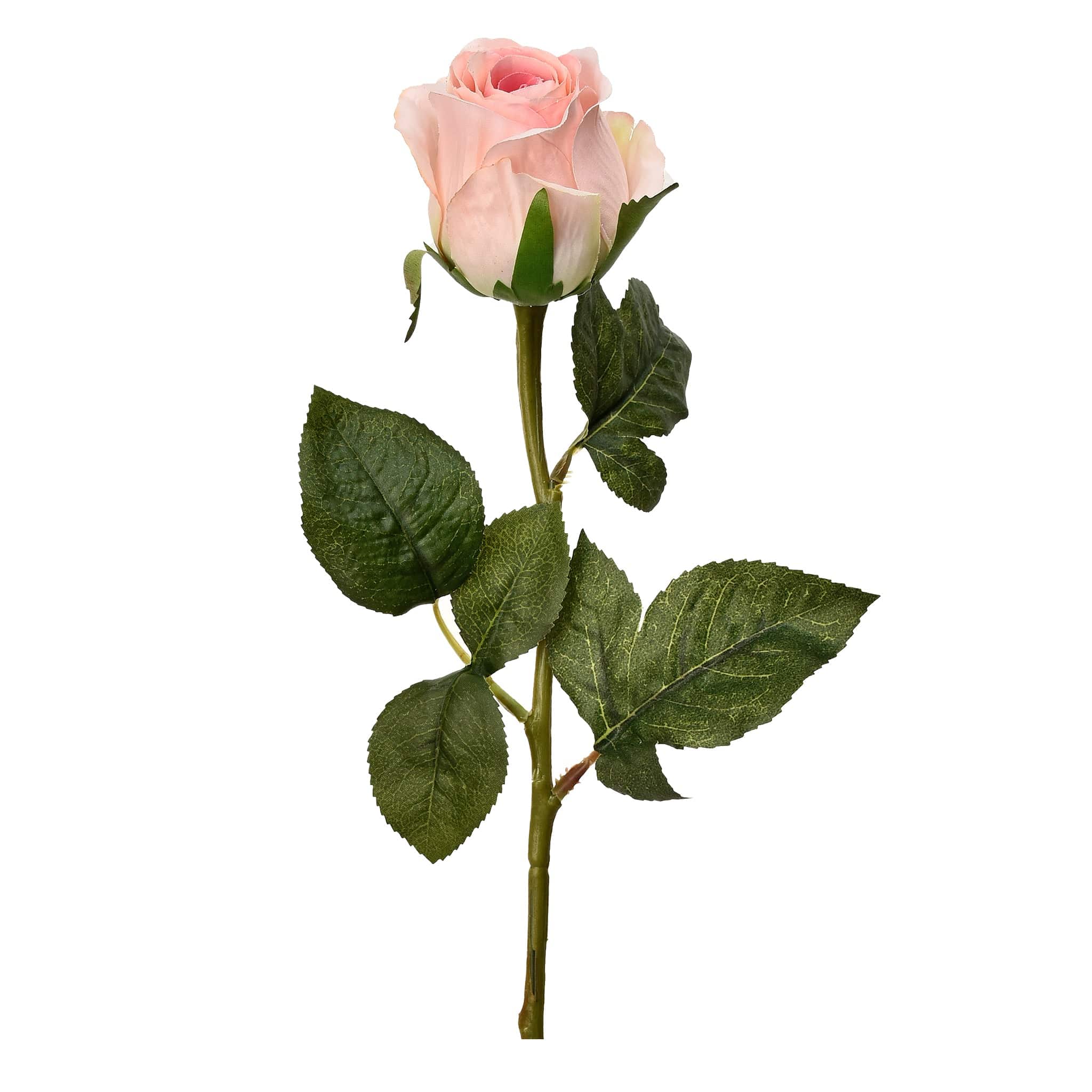 صورة المنتج 2