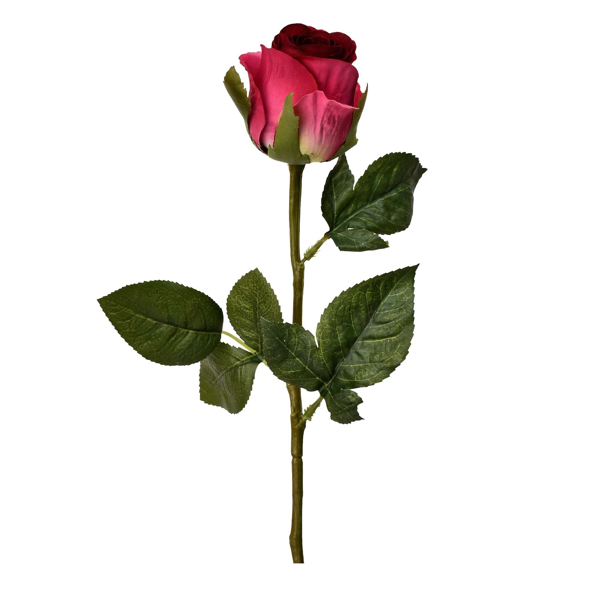 صورة المنتج 4